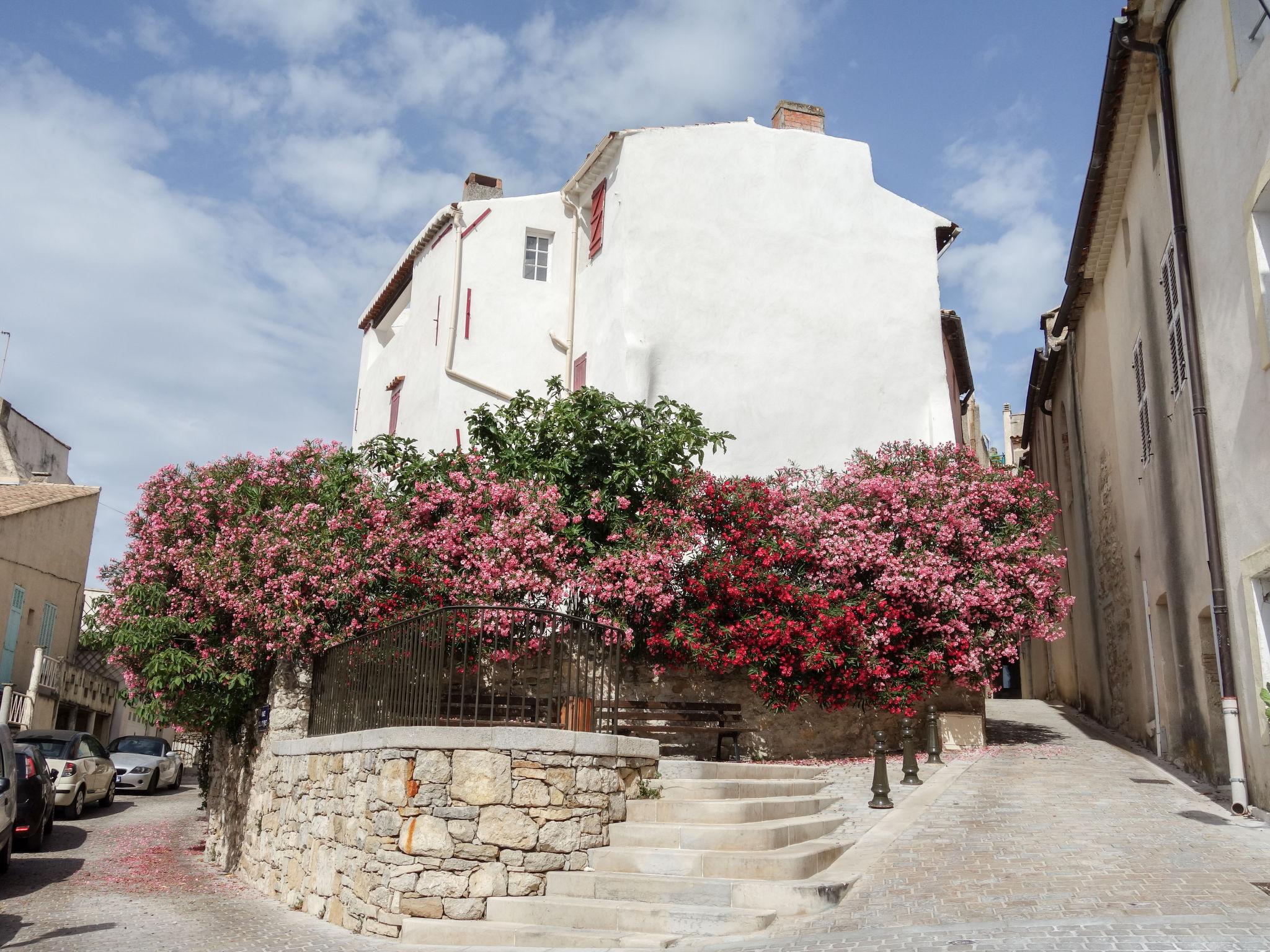 Photo 24 - Maison de 3 chambres à La Cadière-d'Azur avec jardin et terrasse