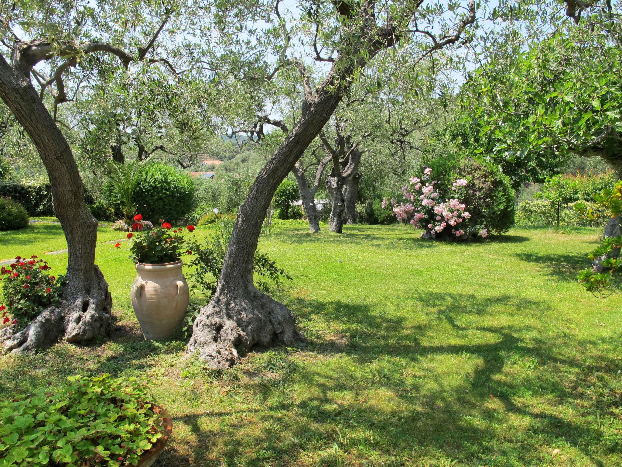 Foto 30 - Appartamento con 4 camere da letto a Diano Castello con piscina e giardino