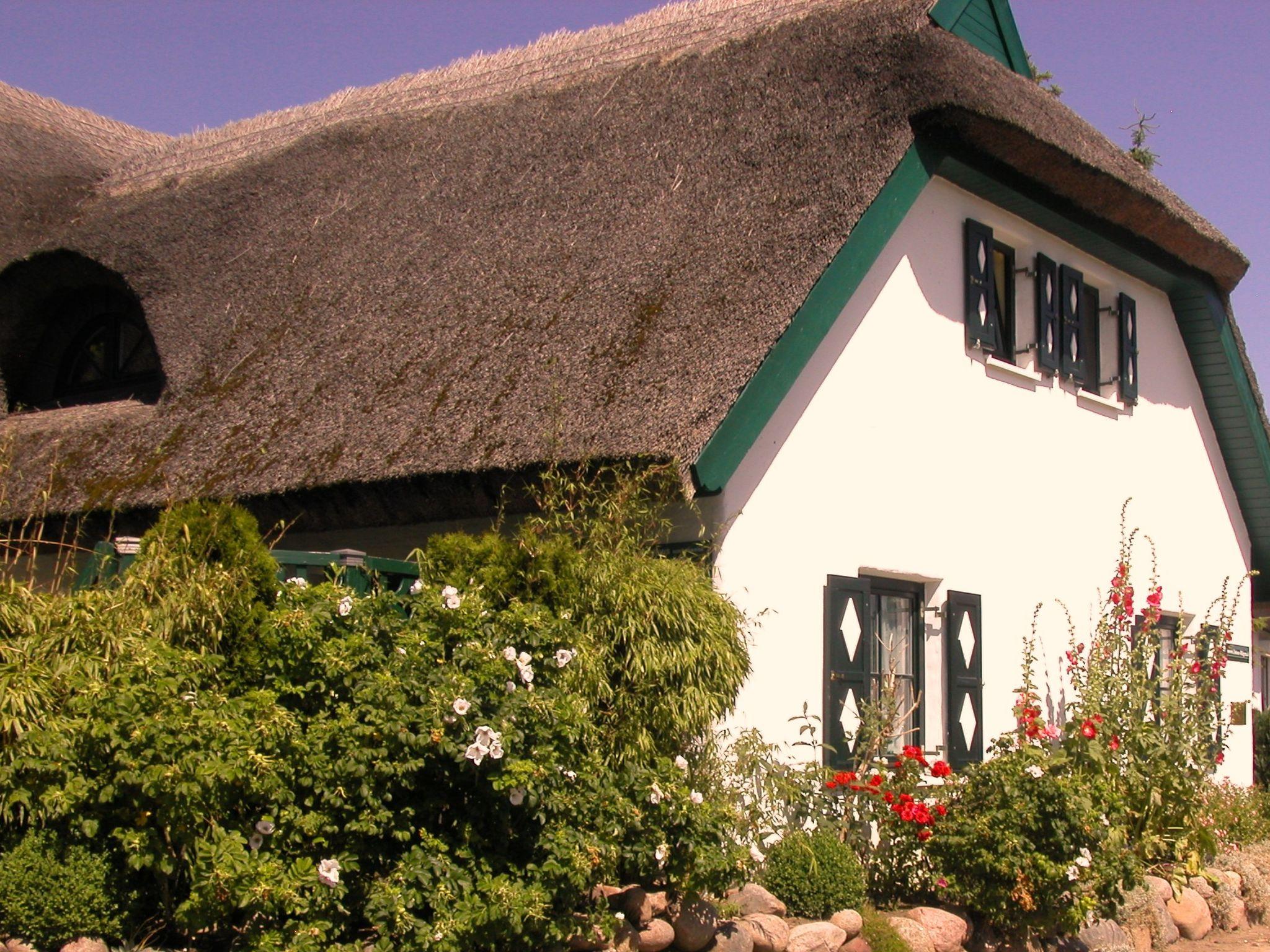 Photo 28 - Maison de 2 chambres à Mönchgut avec jardin et terrasse