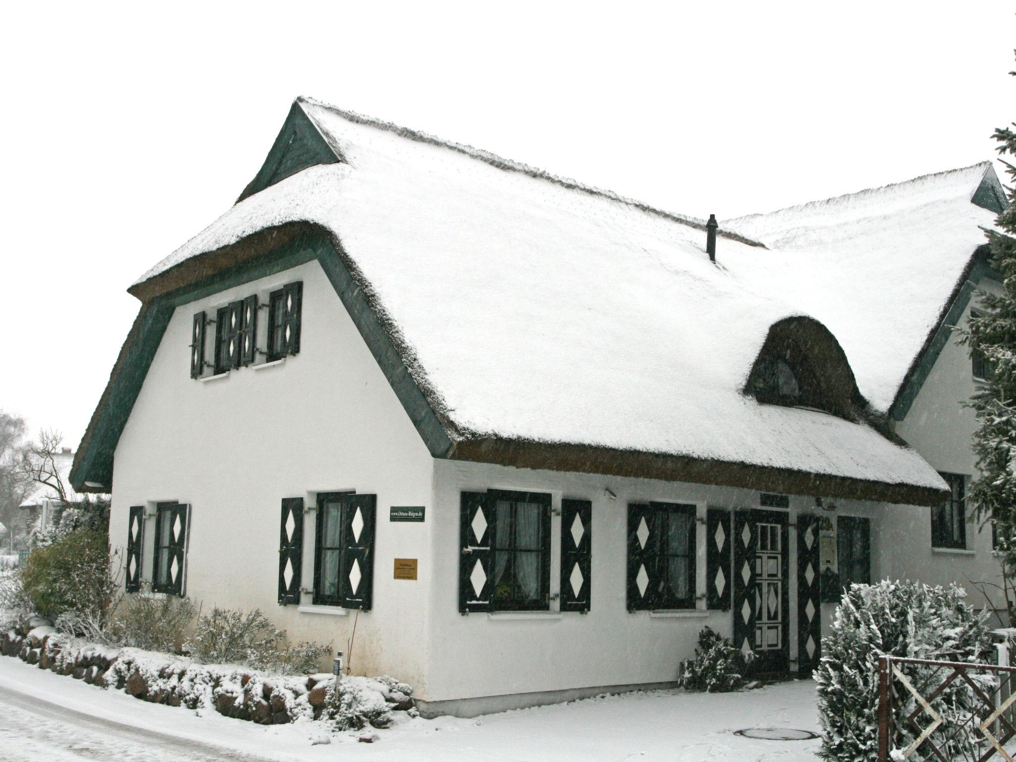 Photo 39 - Maison de 3 chambres à Mönchgut avec jardin et terrasse