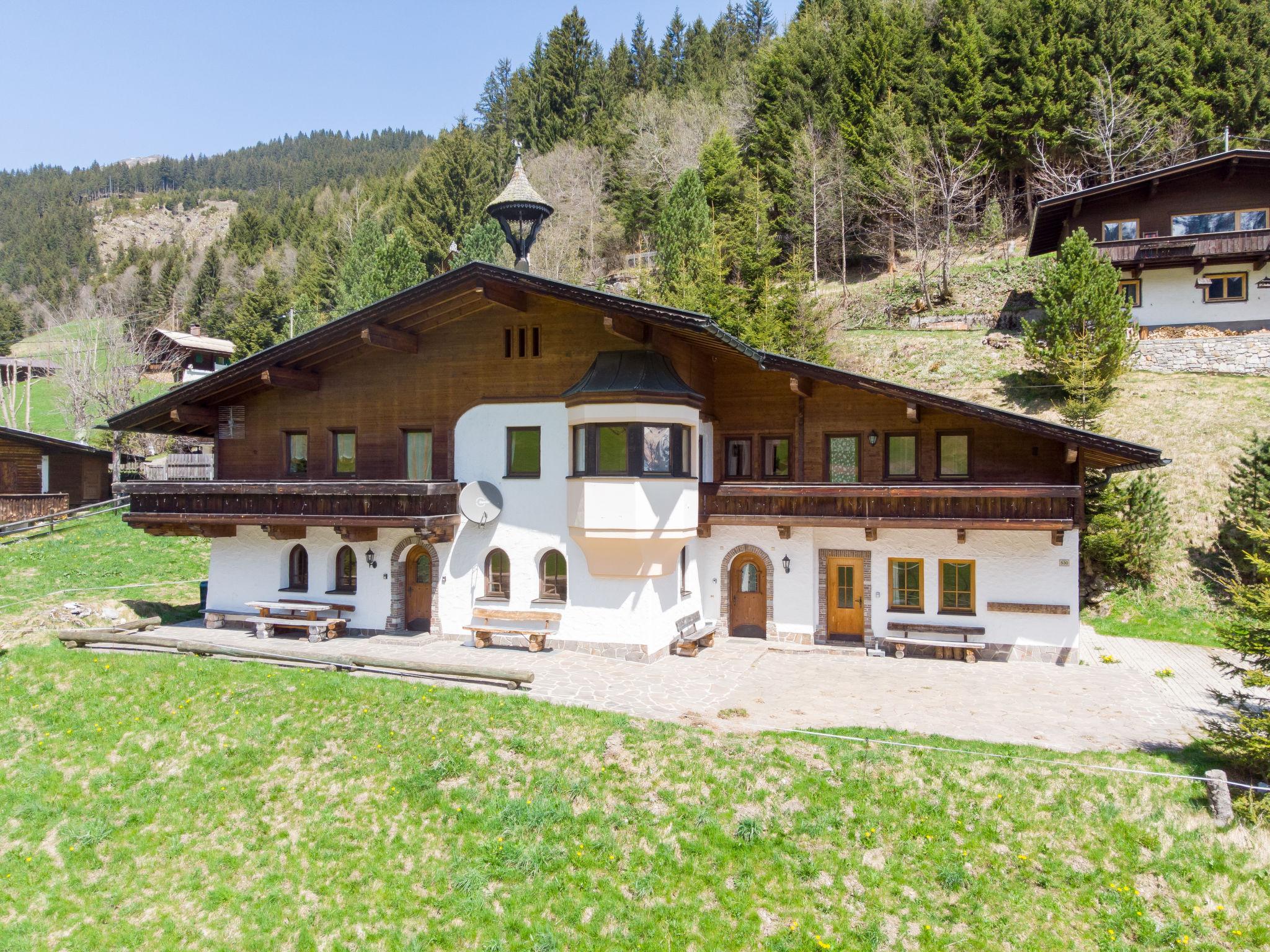 Foto 25 - Casa de 4 habitaciones en Hippach con jardín y vistas a la montaña