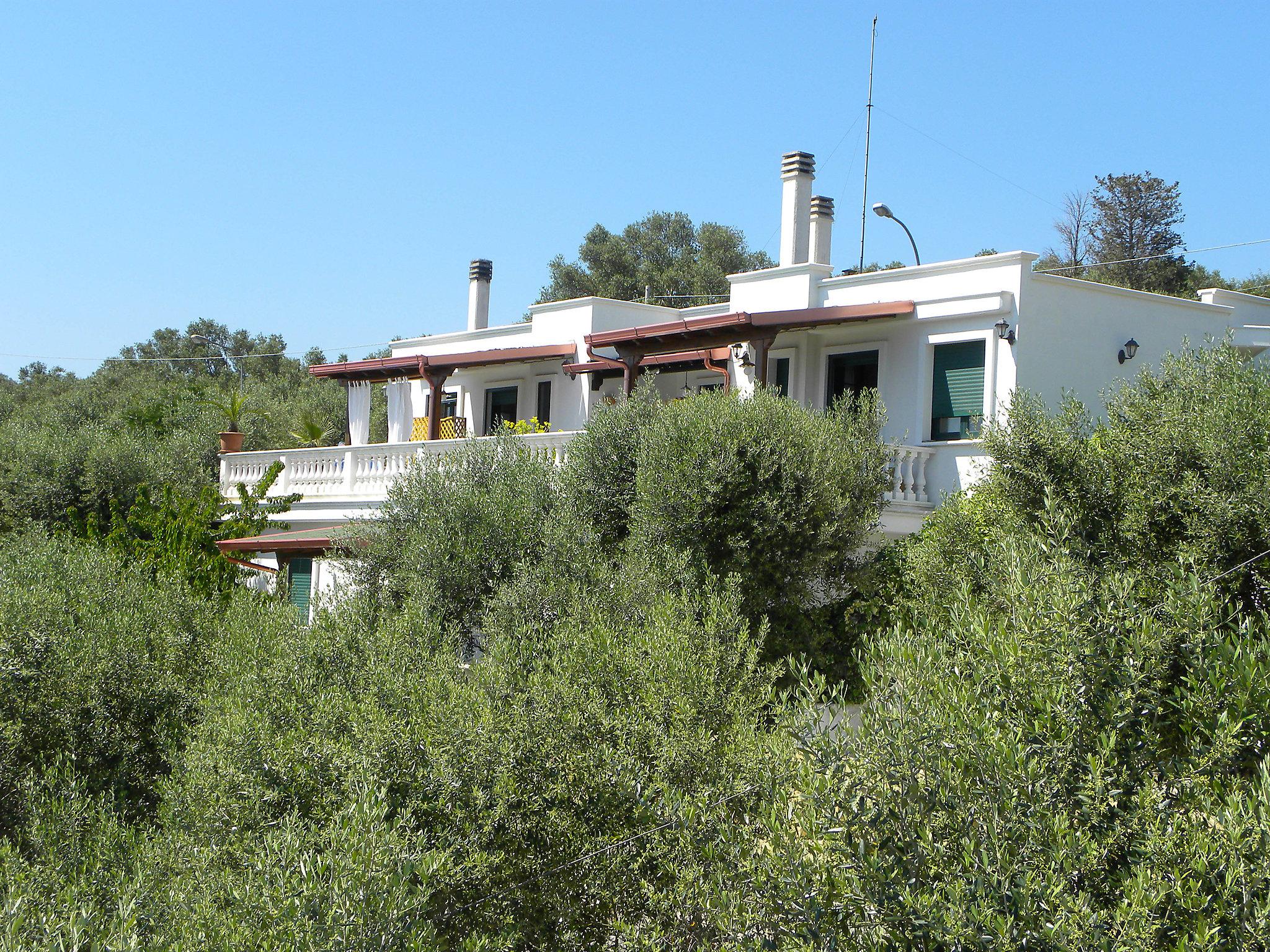 Foto 2 - Apartamento de 2 quartos em Andrano com jardim e terraço