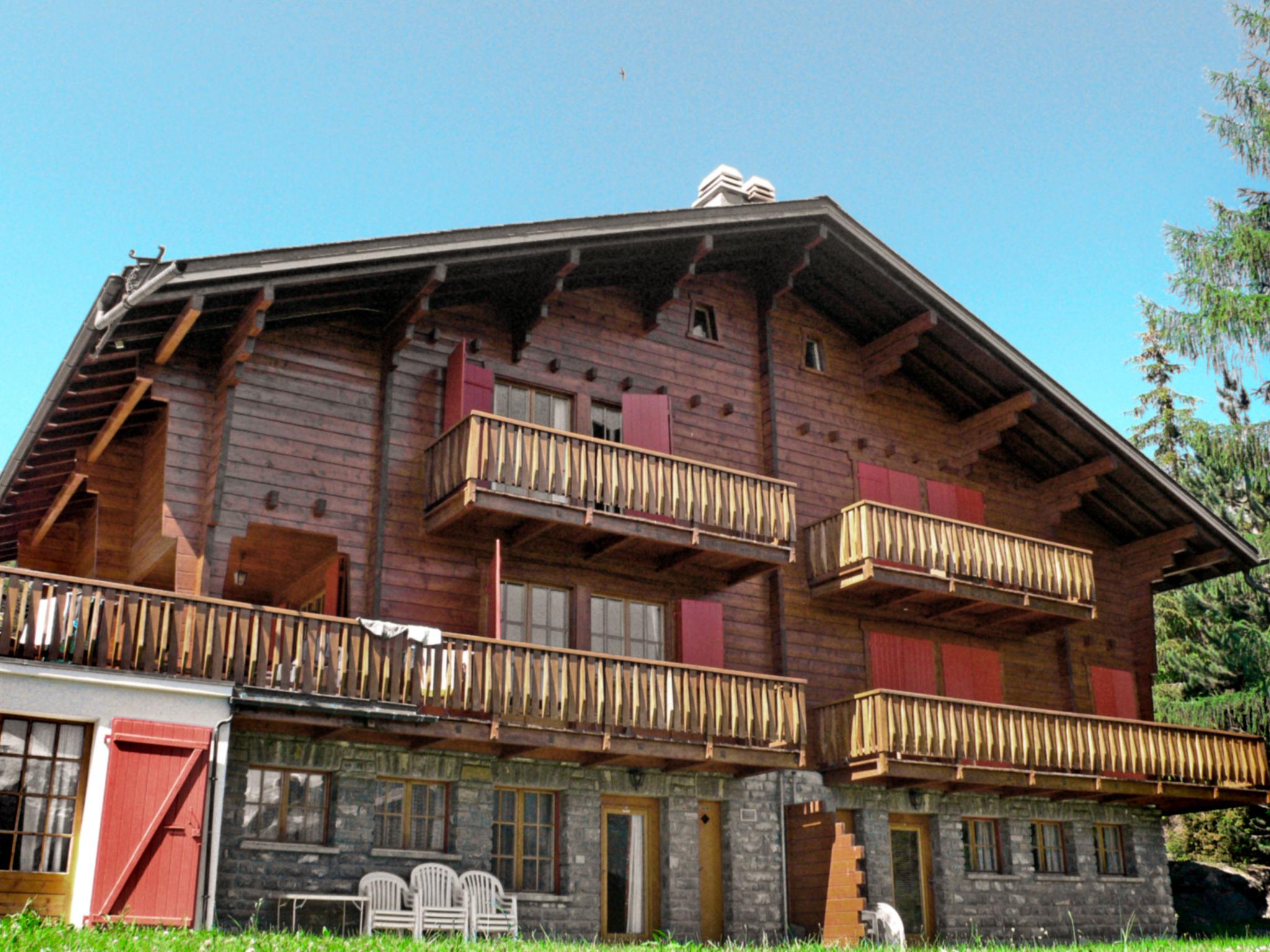 Photo 6 - 1 bedroom Apartment in Val de Bagnes with mountain view