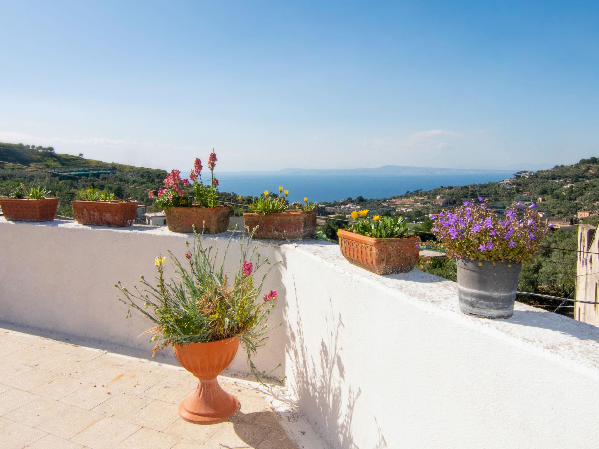 Foto 15 - Appartamento con 2 camere da letto a Massa Lubrense con giardino e terrazza