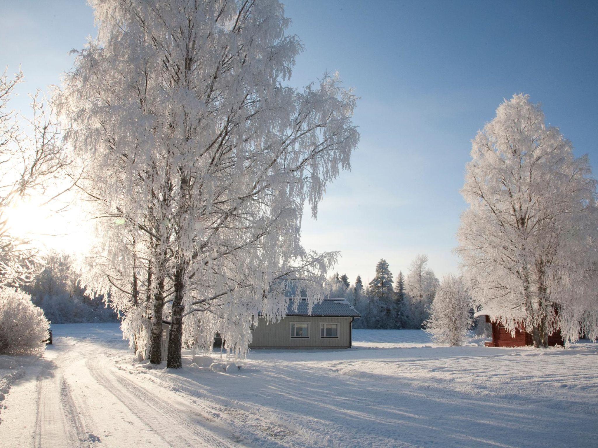 Foto 4 - Casa de 2 quartos em Sotkamo com sauna