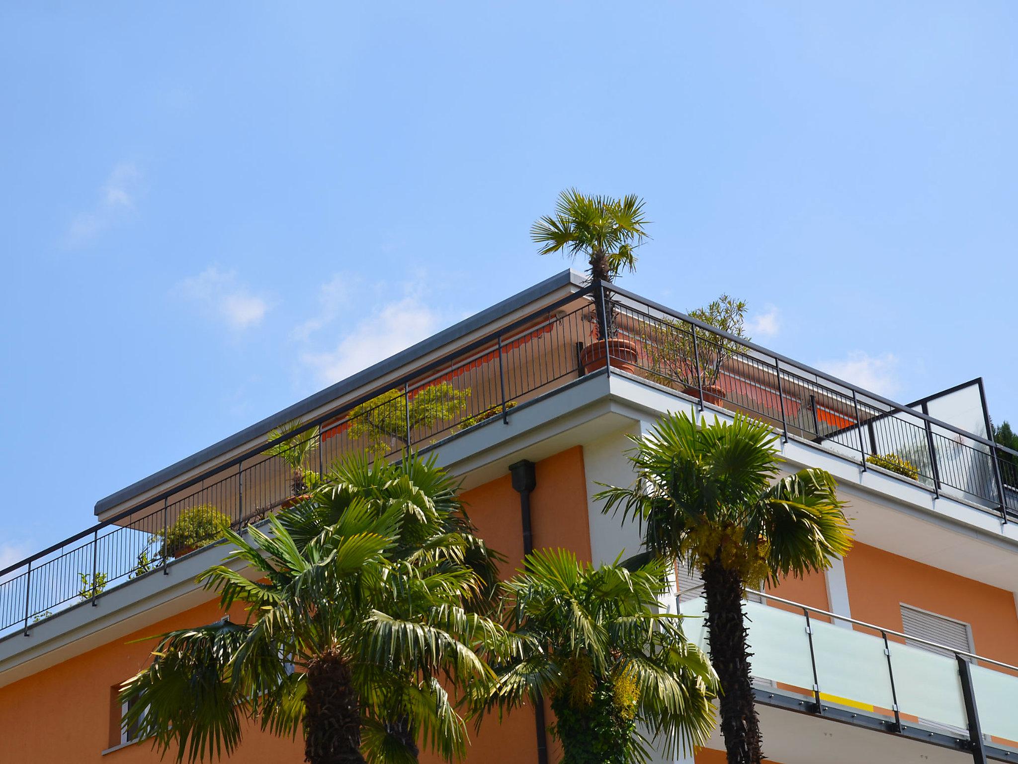 Photo 4 - Apartment in Ascona with terrace and mountain view