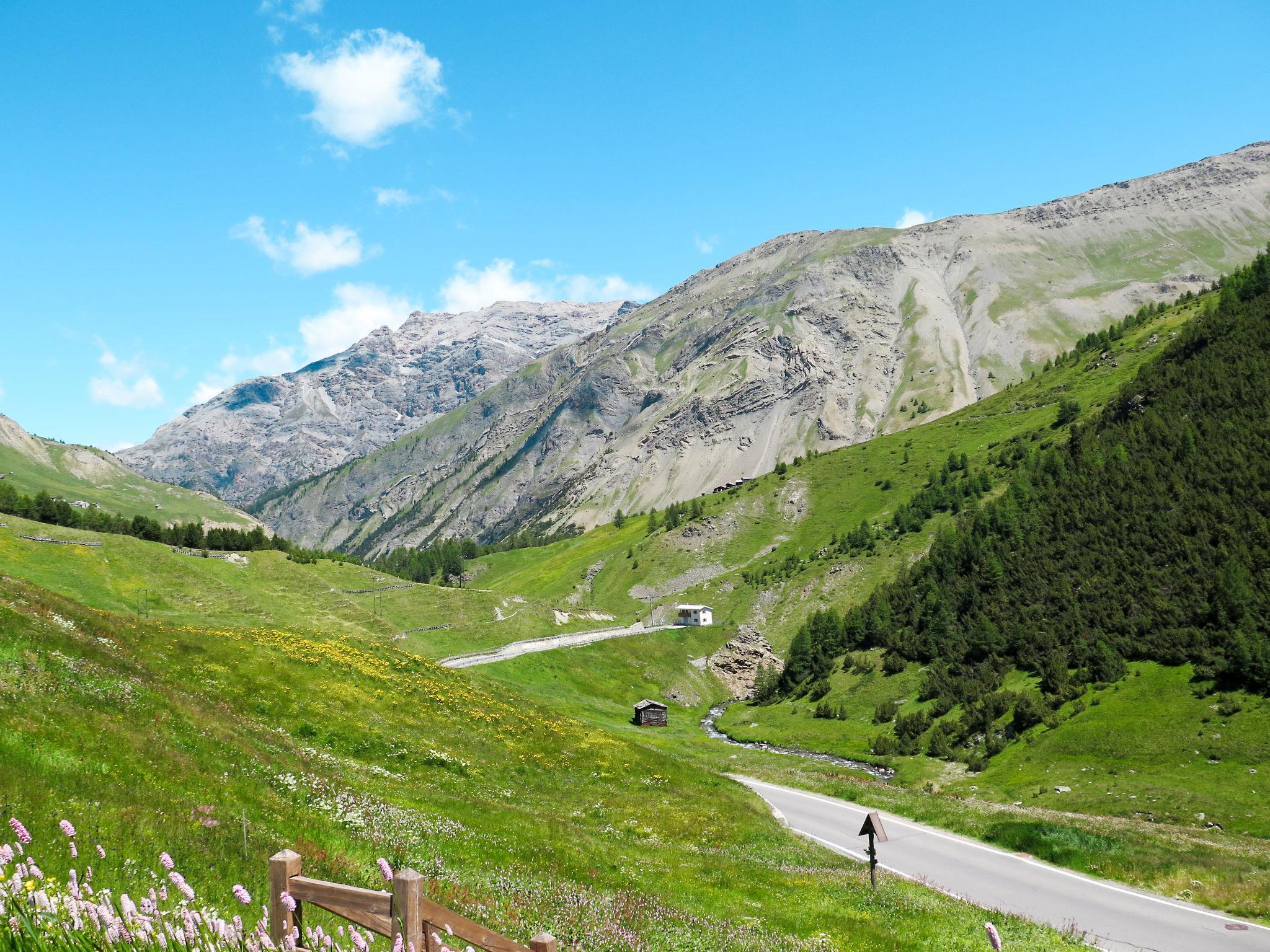 Photo 34 - Appartement en Livigno avec jardin