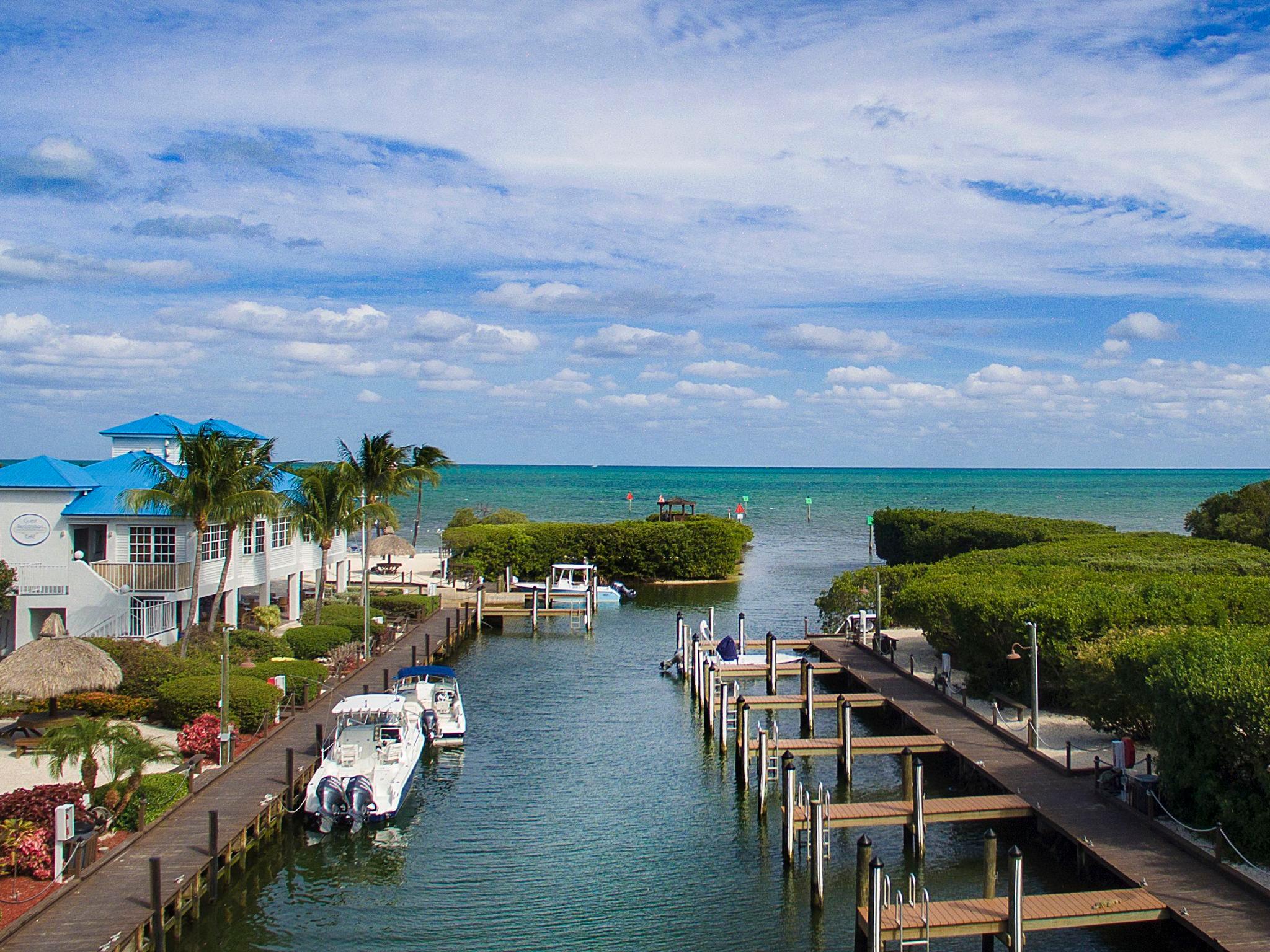 Photo 19 - 1 bedroom Apartment in Tavernier with swimming pool and sea view