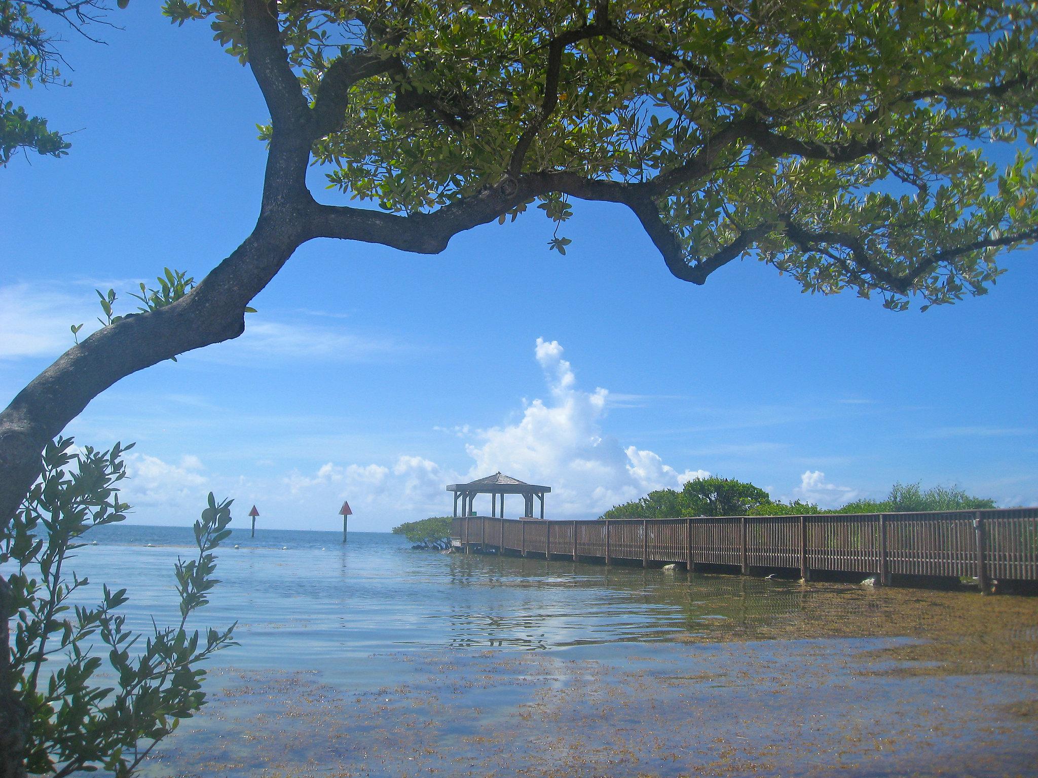 Photo 18 - 1 bedroom Apartment in Tavernier with swimming pool and sea view