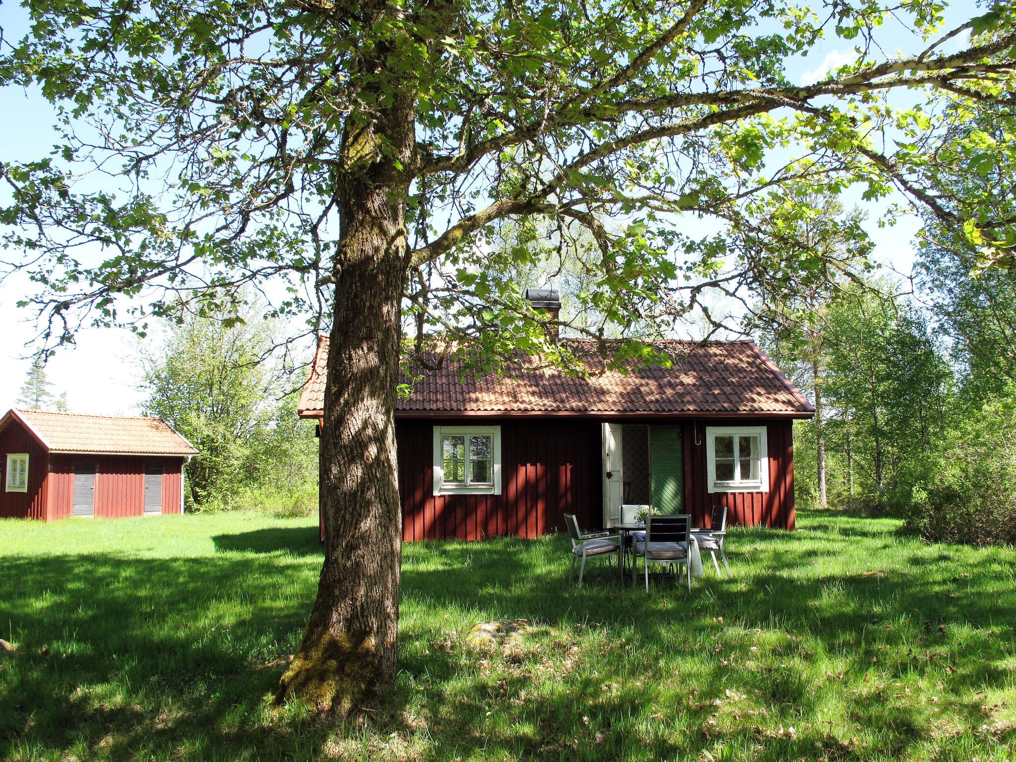 Photo 1 - Maison de 2 chambres à Ryssby avec jardin et sauna