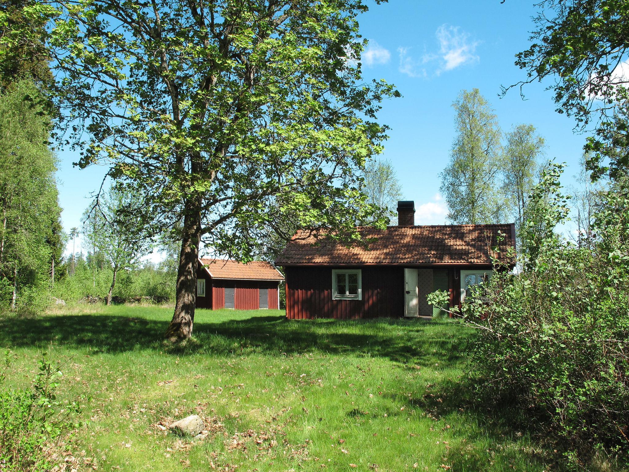 Photo 19 - Maison de 2 chambres à Ryssby avec jardin et sauna