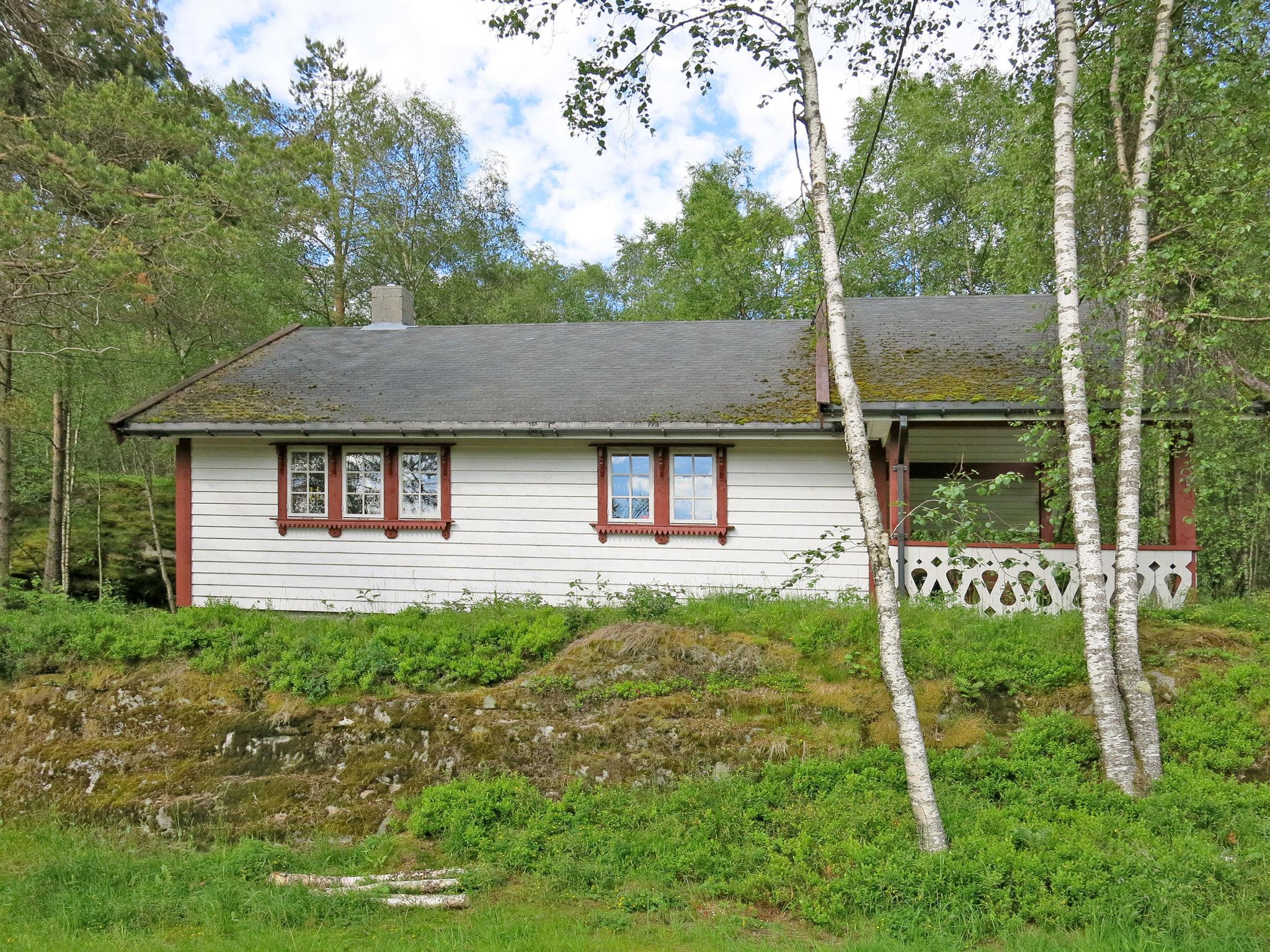 Foto 12 - Haus mit 2 Schlafzimmern in Viksdalen mit terrasse
