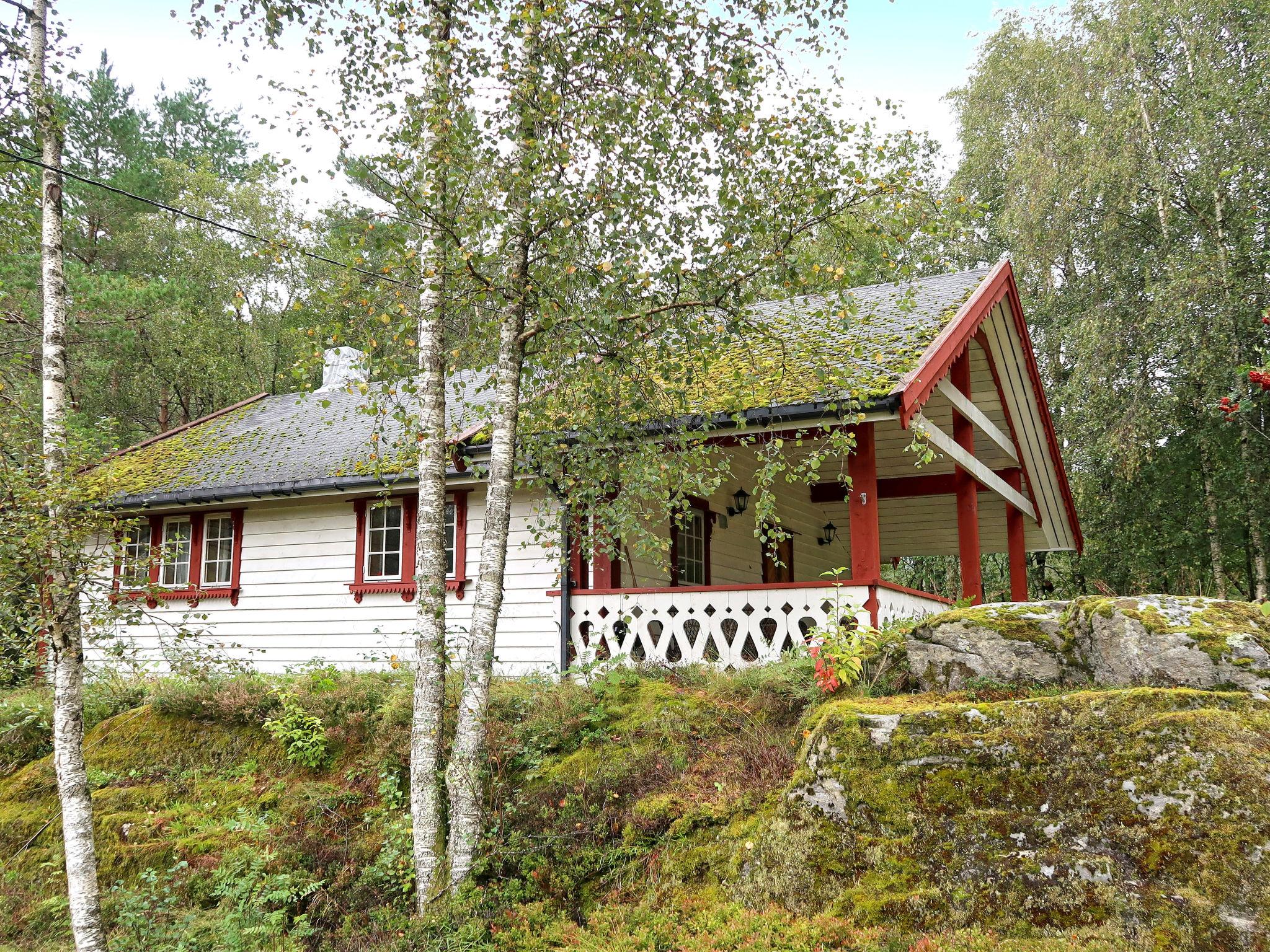 Foto 13 - Casa de 2 quartos em Viksdalen com terraço