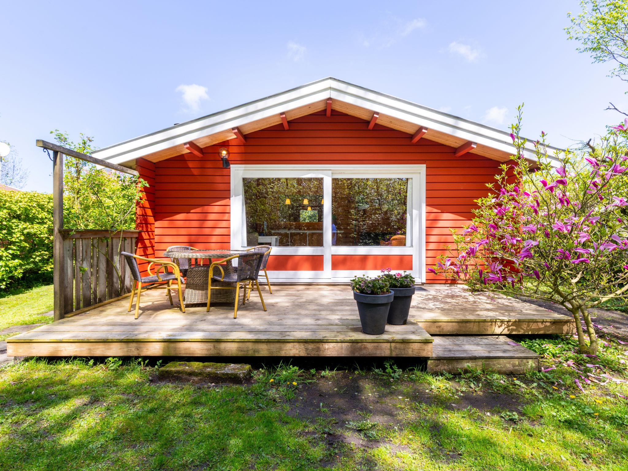 Photo 7 - Maison de 2 chambres à Sint Maartensvlotbrug avec jardin et terrasse