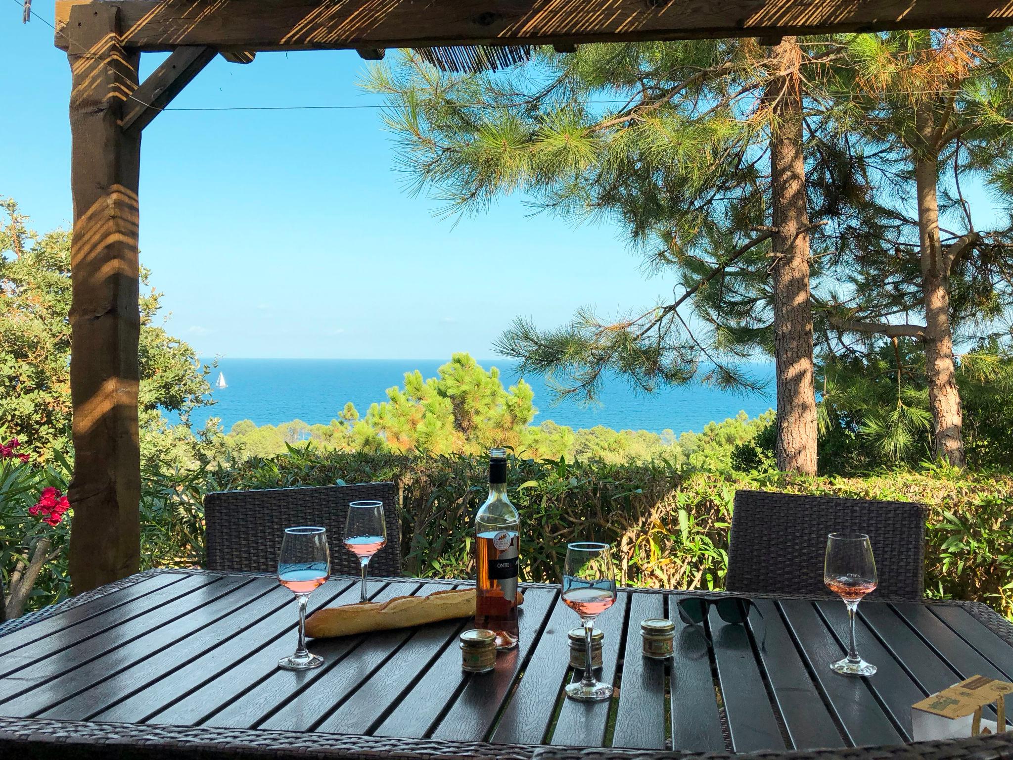 Foto 2 - Casa de 2 quartos em Sari-Solenzara com piscina e vistas do mar