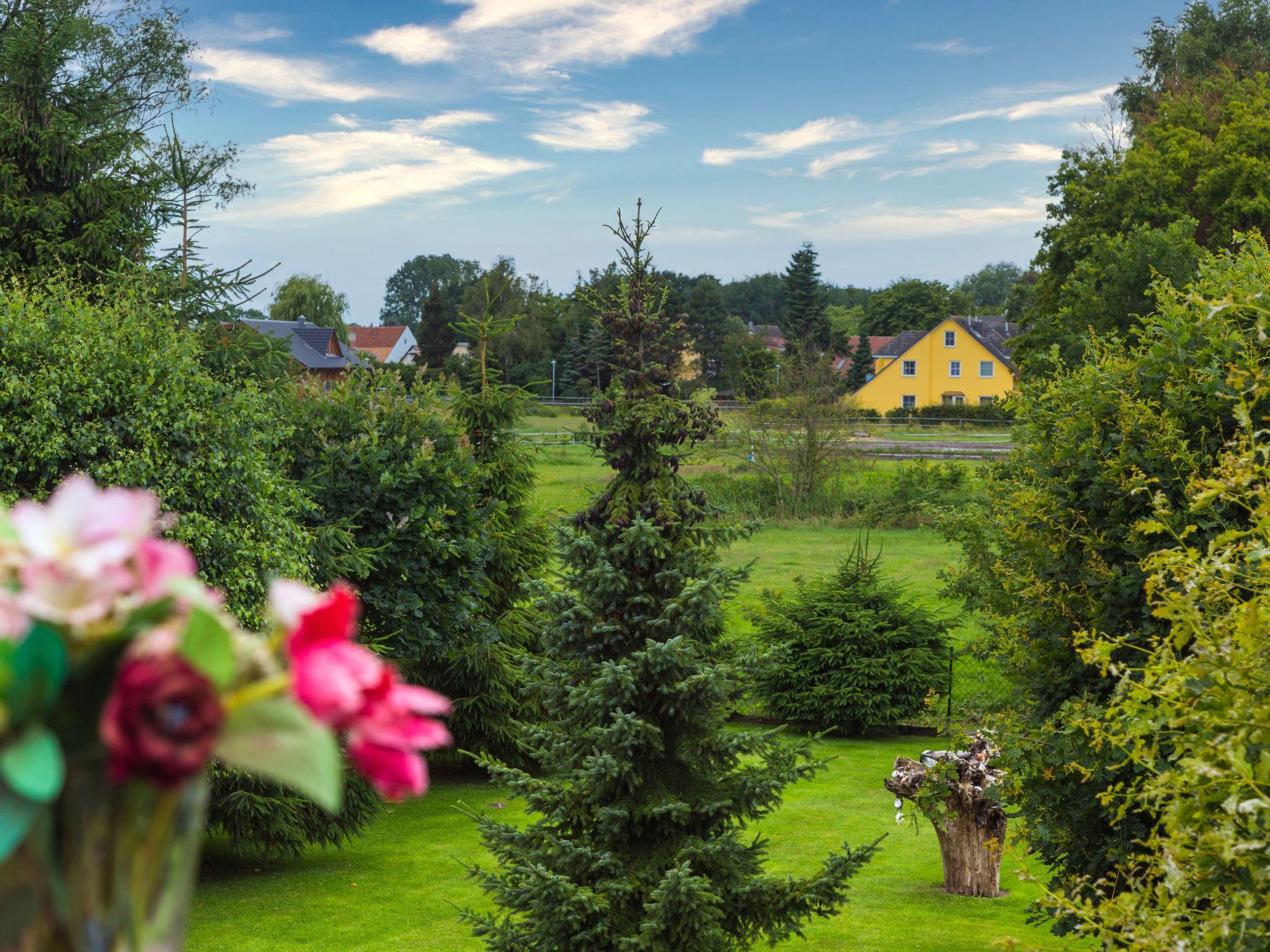 Photo 9 - 1 bedroom Apartment in Zinnowitz with garden and sea view