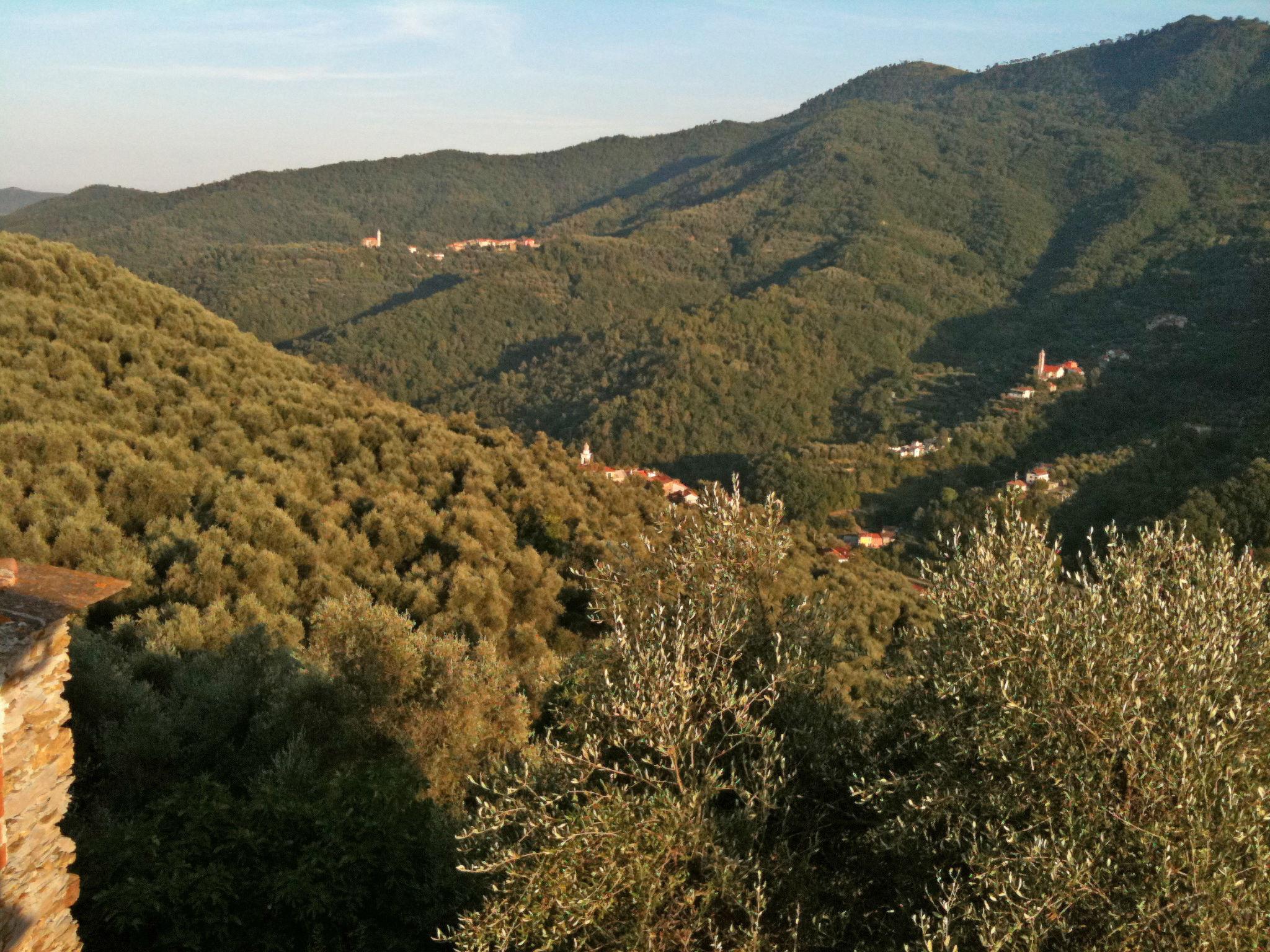 Photo 24 - 3 bedroom Apartment in Stellanello with garden and sea view