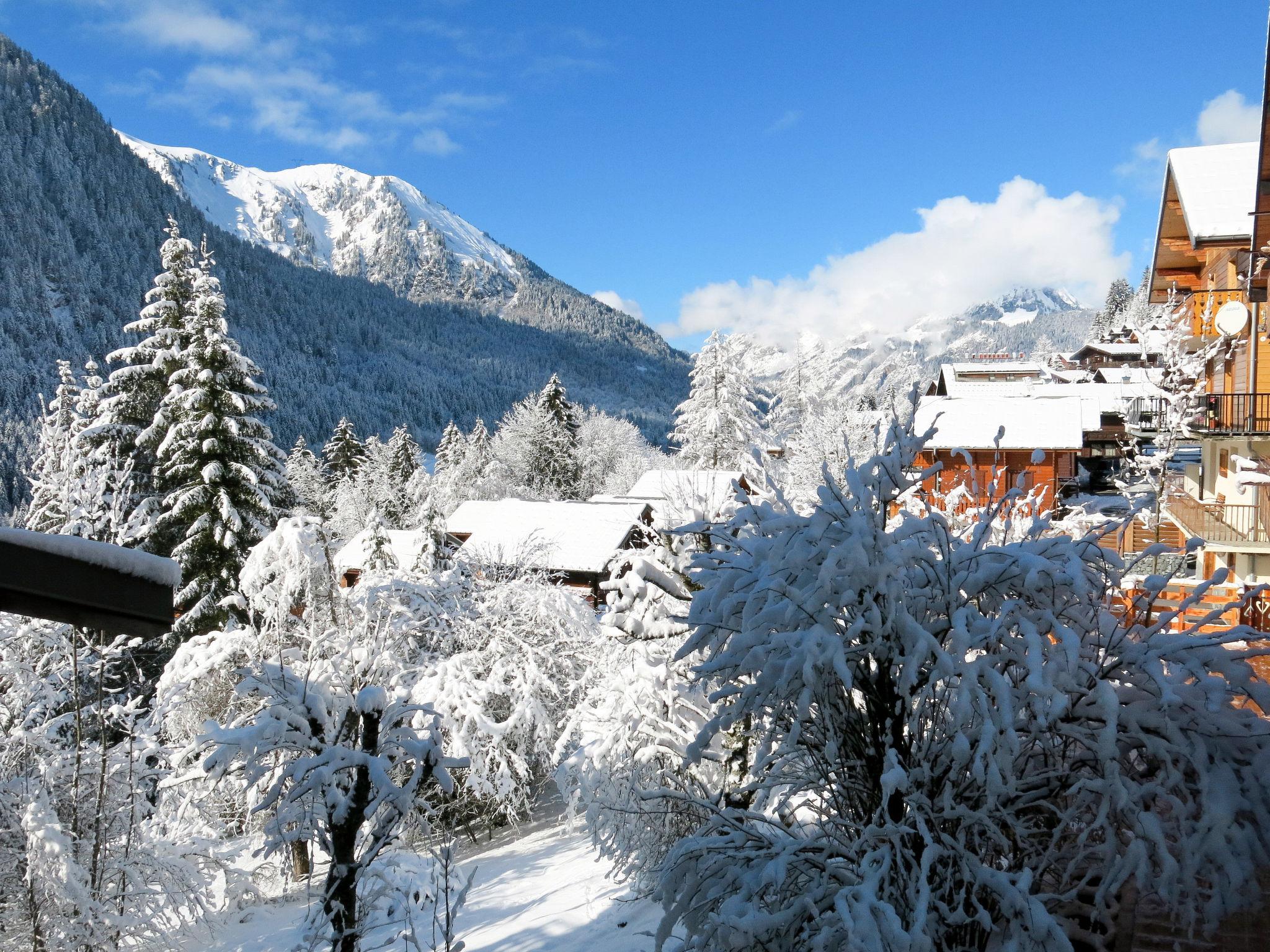 Photo 10 - Appartement de 2 chambres à Châtel avec jardin et vues sur la montagne