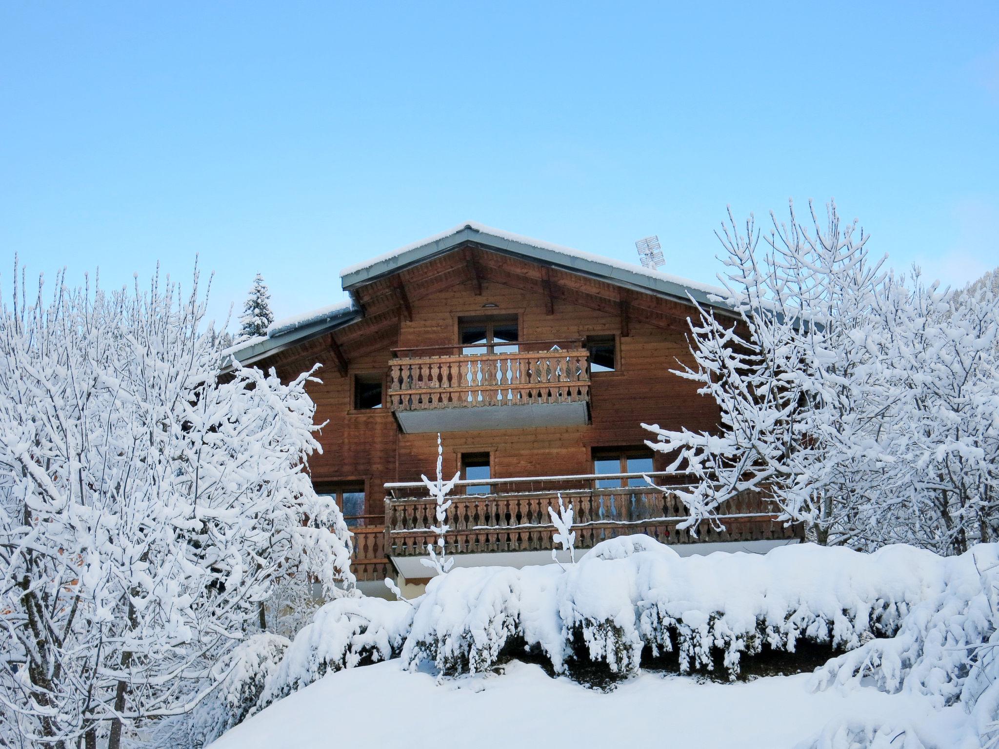 Foto 16 - Apartamento de 2 habitaciones en Châtel con jardín y vistas a la montaña