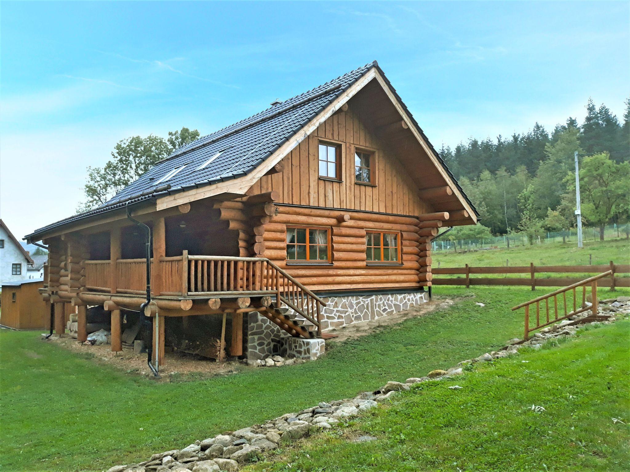 Photo 19 - Maison de 5 chambres à Strašín avec jardin et terrasse