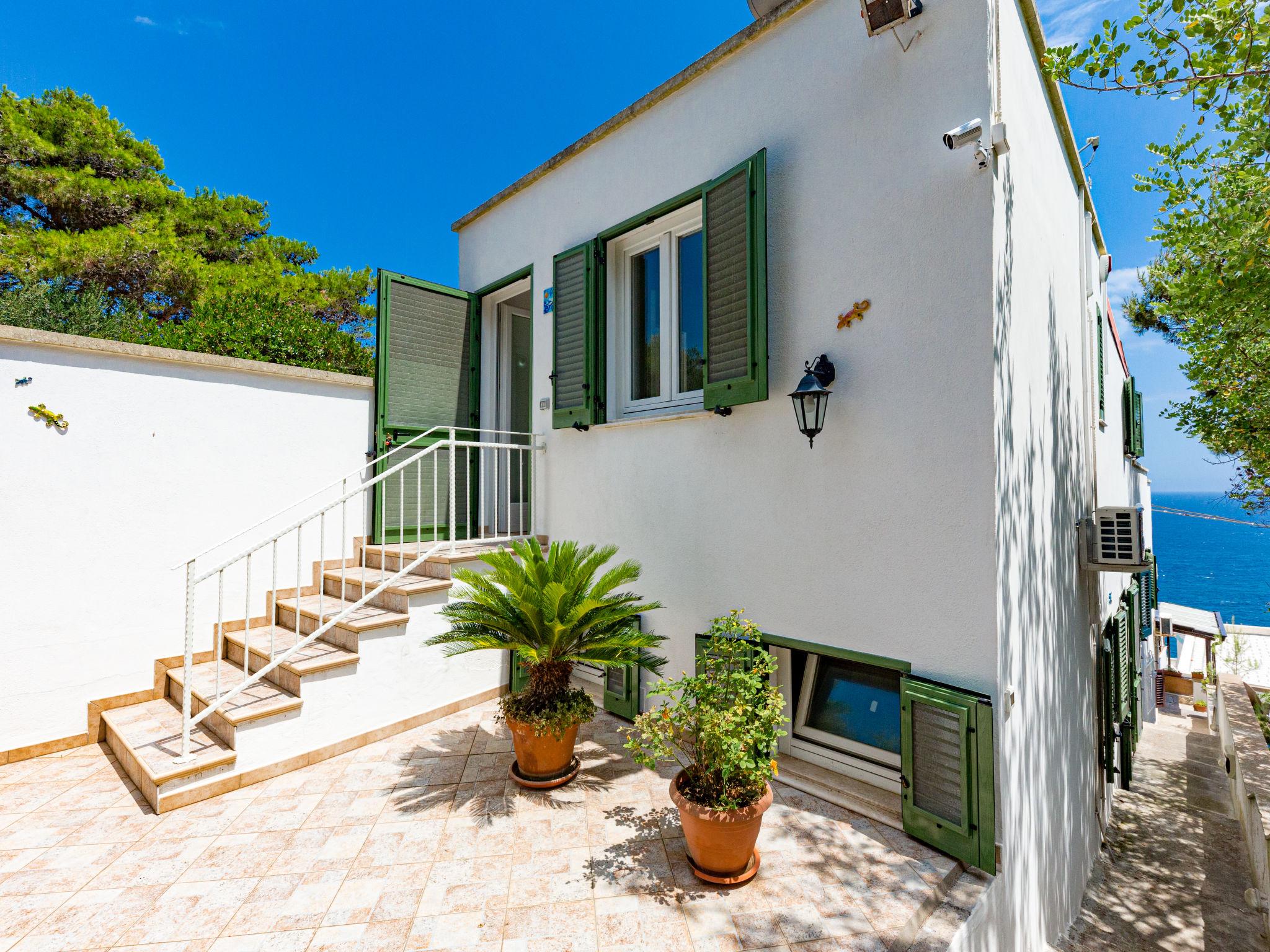 Photo 1 - Appartement de 1 chambre à Castro avec jardin et terrasse