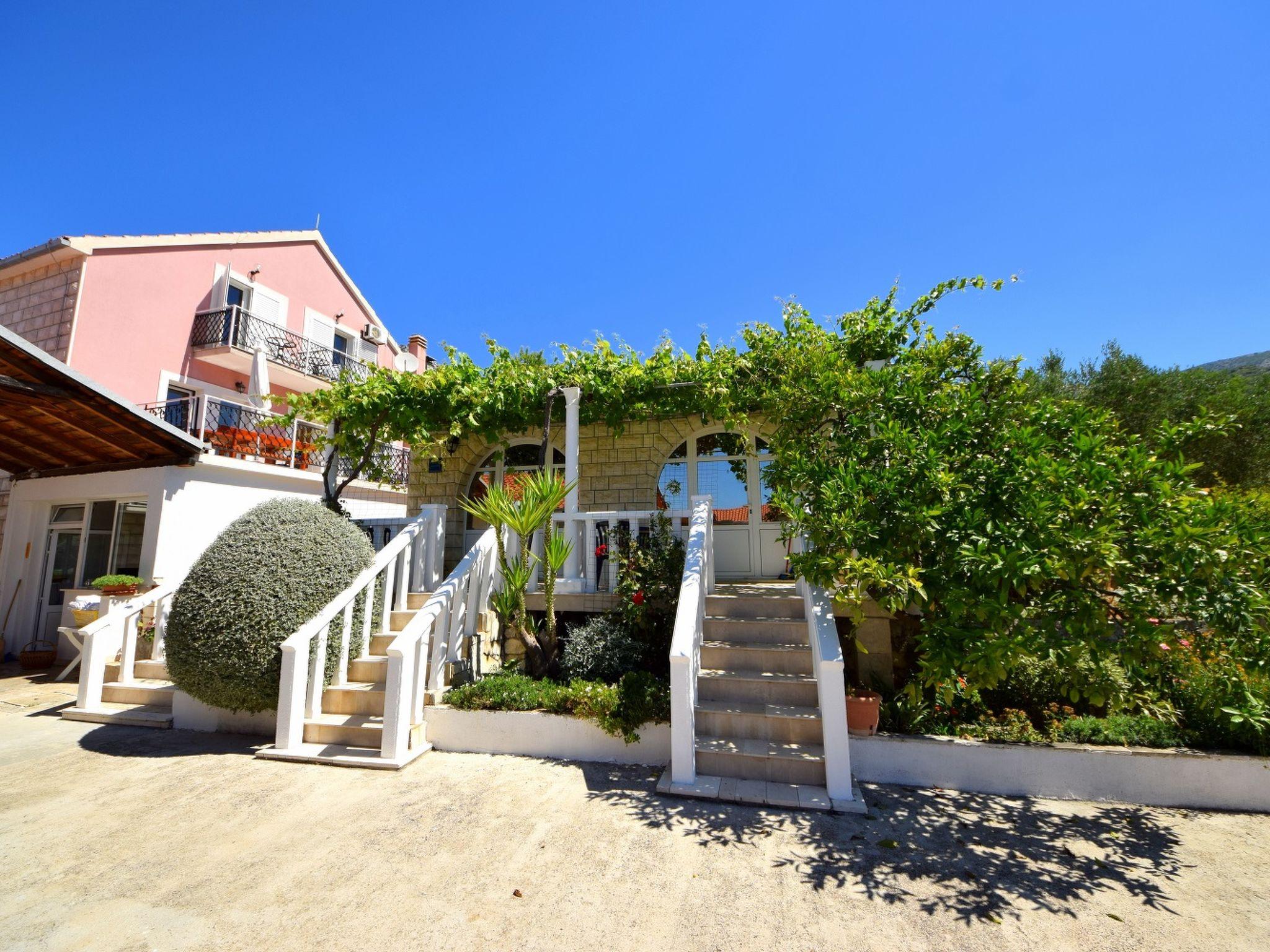 Photo 12 - Appartement en Orebić avec piscine et jardin