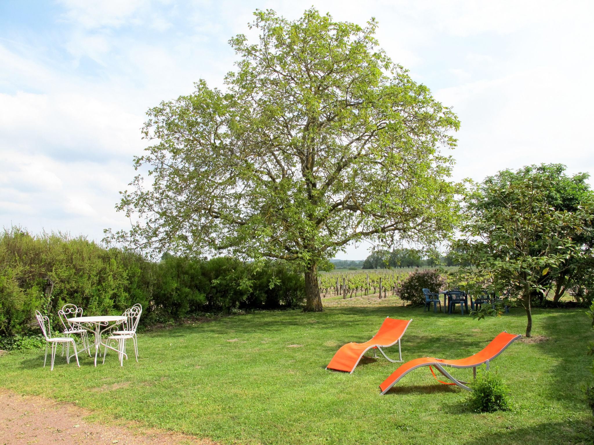 Photo 2 - Maison de 2 chambres à Restigné avec jardin et terrasse