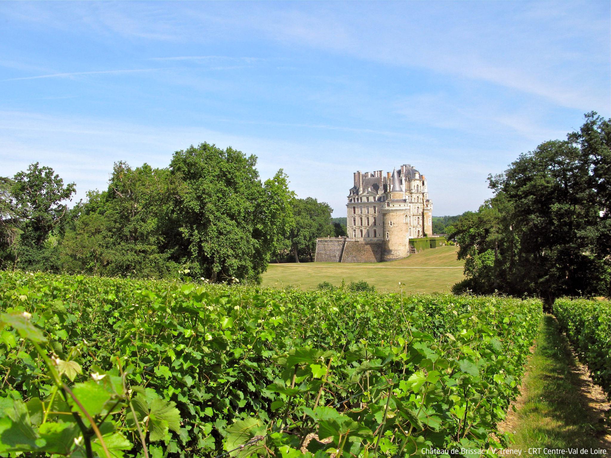 Photo 25 - 1 bedroom Apartment in Chinon with swimming pool and terrace