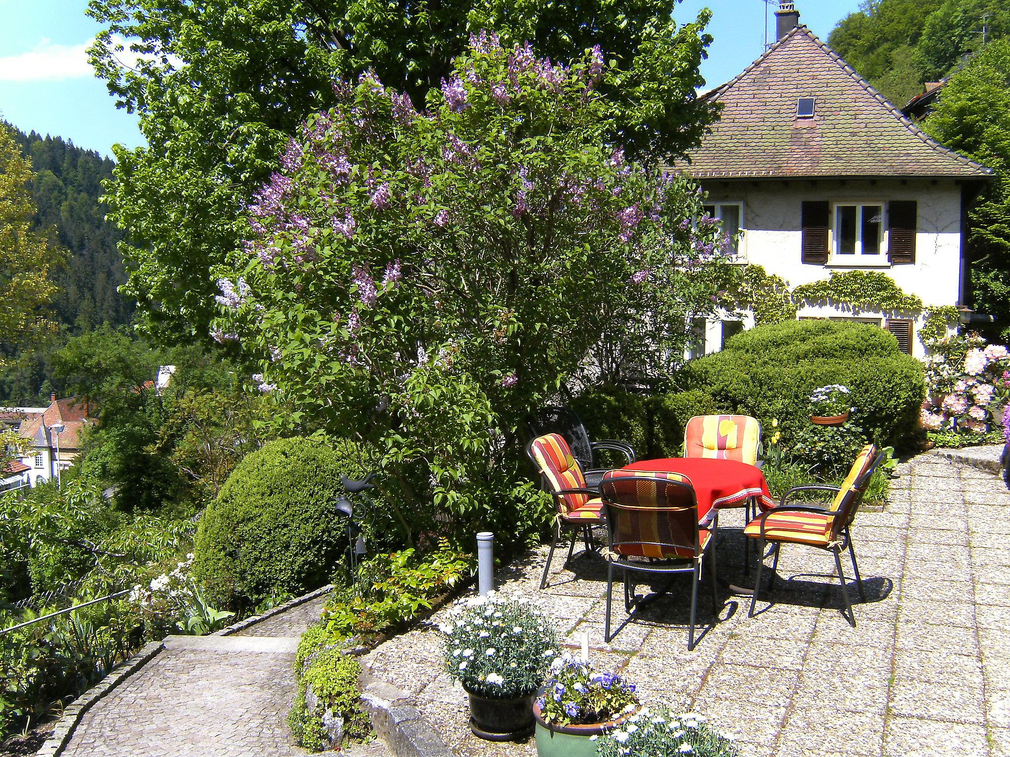 Foto 1 - Apartamento de 1 quarto em Triberg im Schwarzwald com jardim