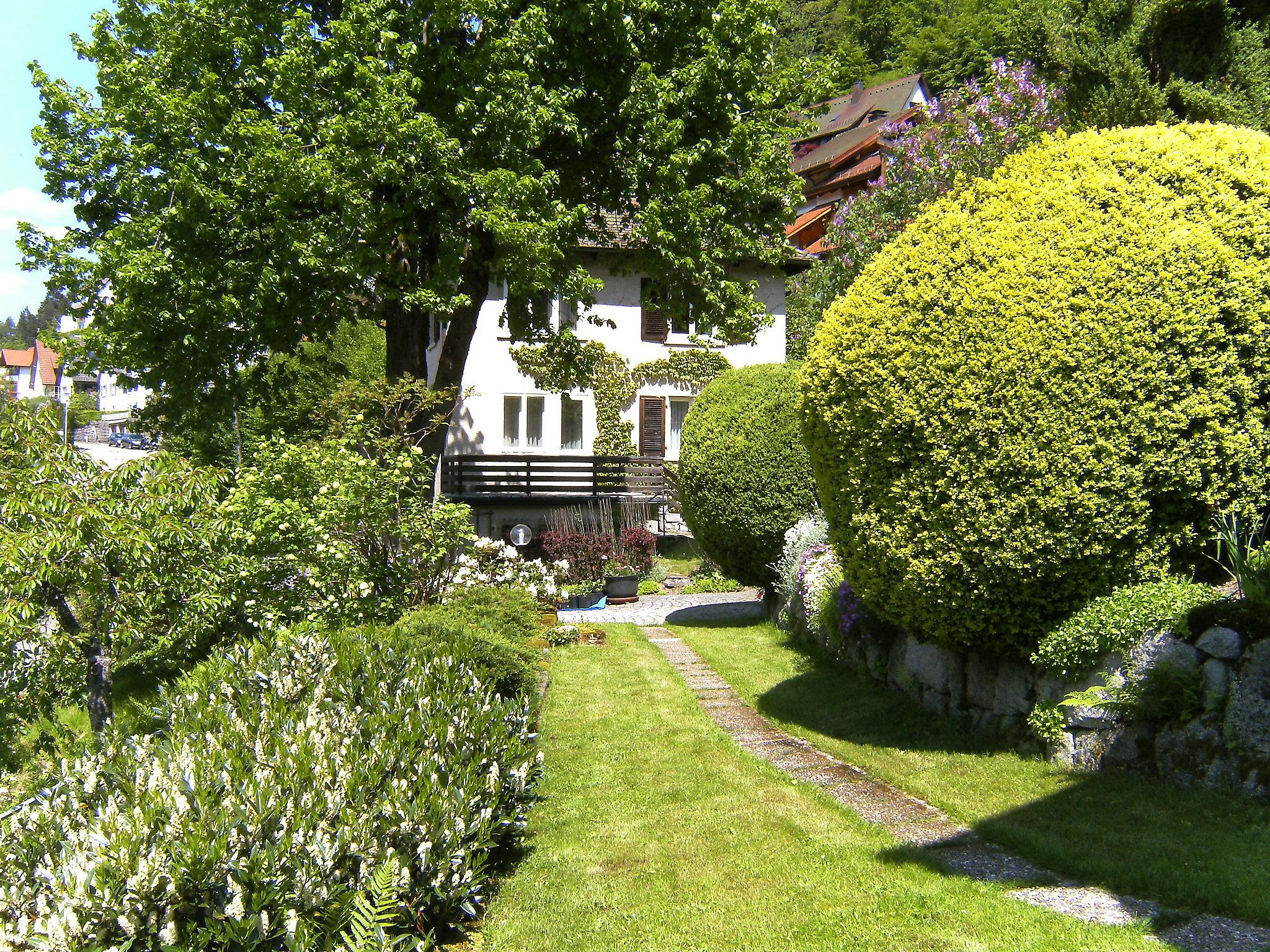 Foto 14 - Apartamento de 1 quarto em Triberg im Schwarzwald com jardim