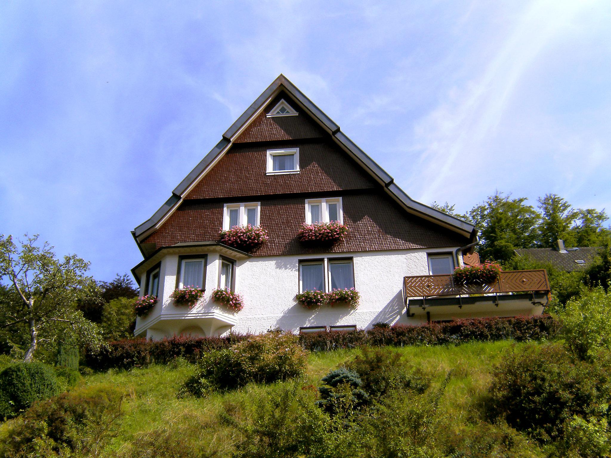 Foto 5 - Apartamento de 1 habitación en Triberg im Schwarzwald con jardín