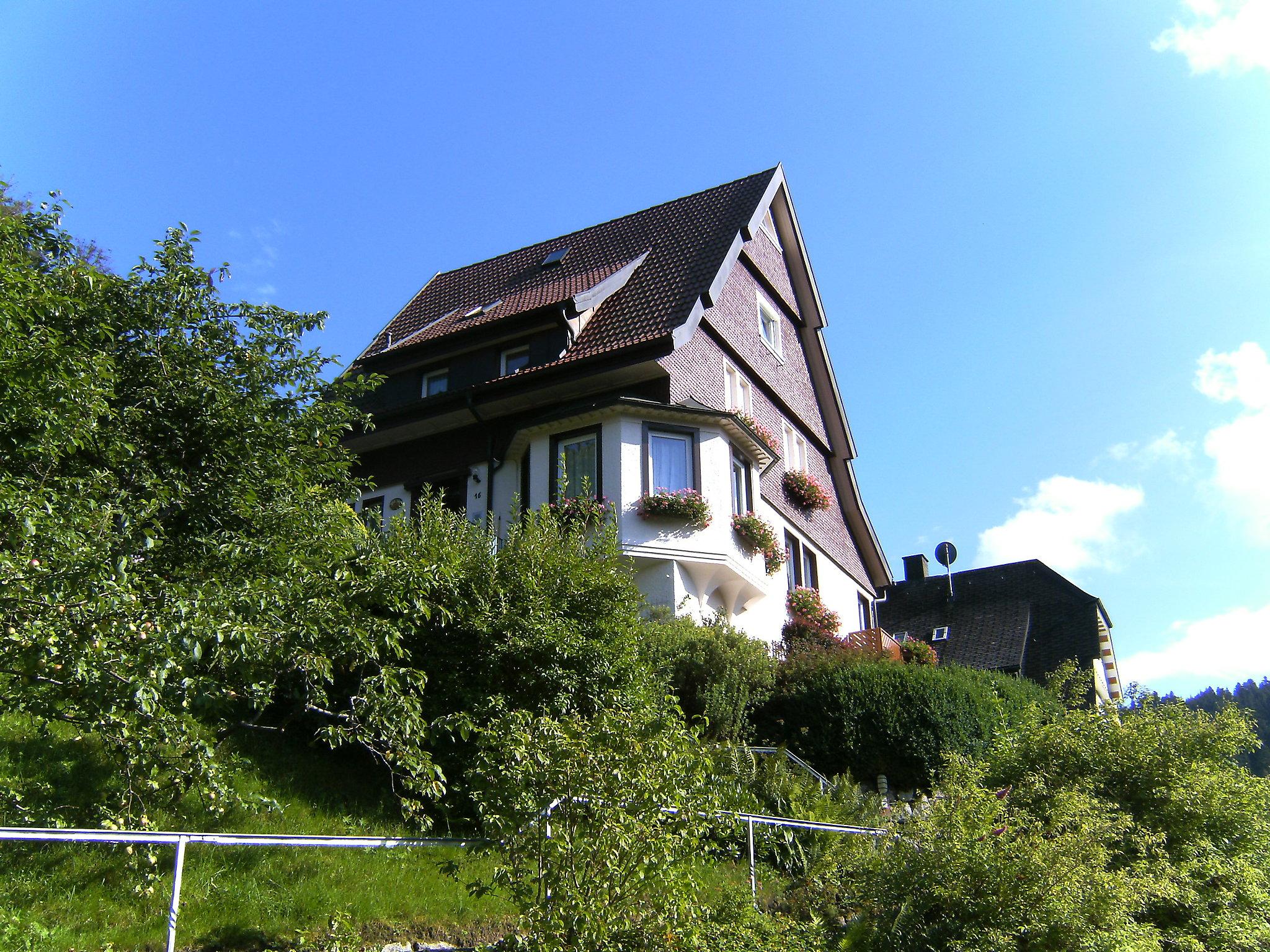 Foto 7 - Apartamento de 1 habitación en Triberg im Schwarzwald con jardín y terraza