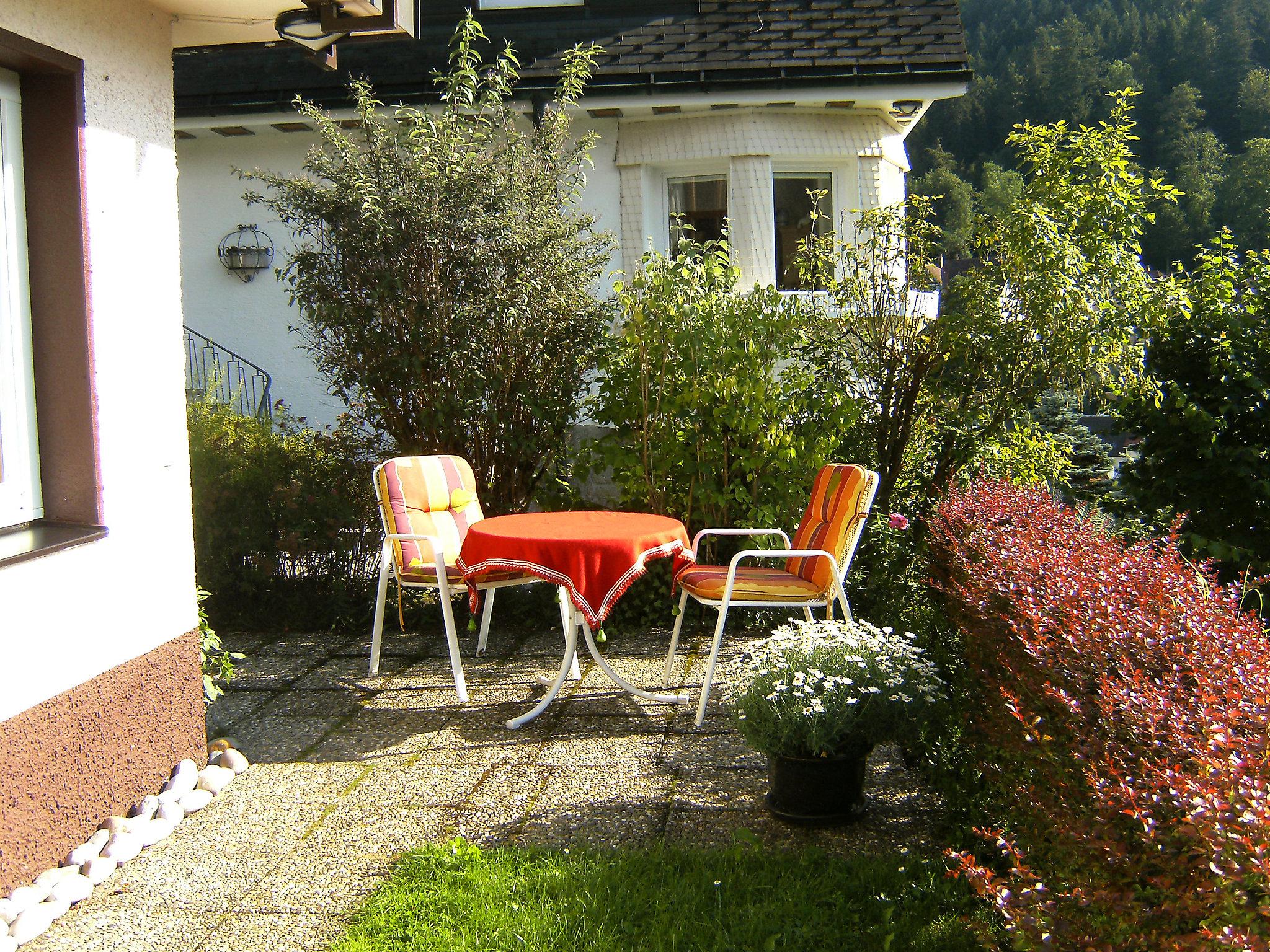 Foto 19 - Apartamento de 1 habitación en Triberg im Schwarzwald con jardín y terraza