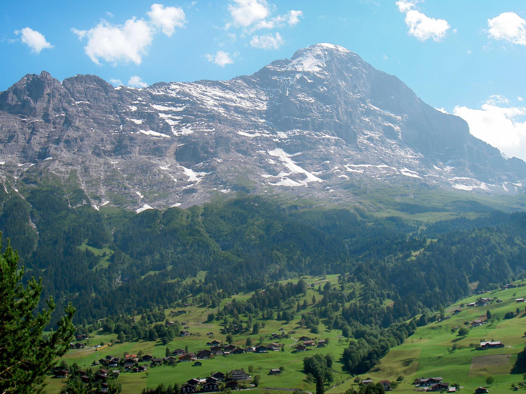 Foto 20 - Appartamento a Grindelwald con giardino