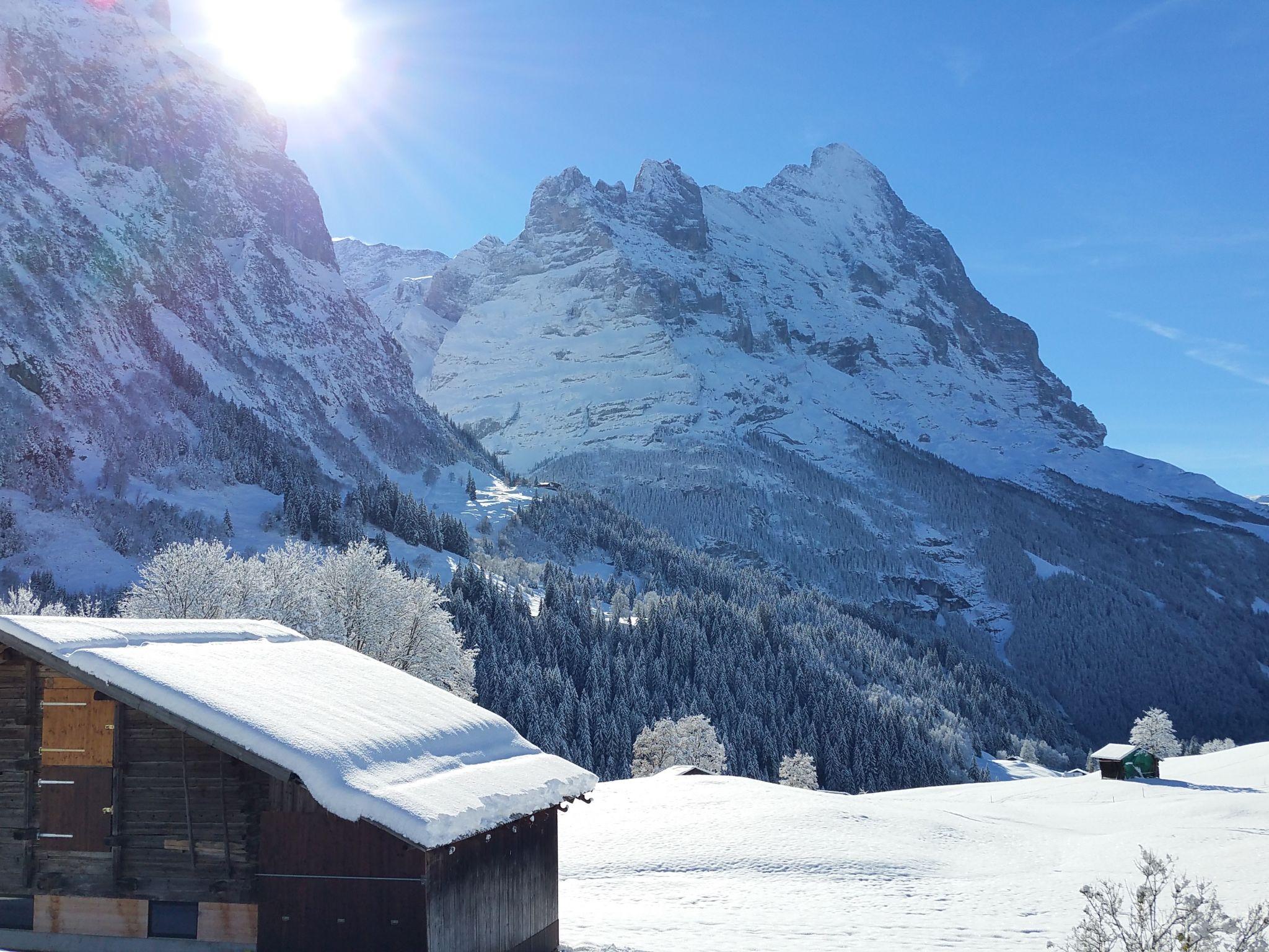 Foto 10 - Appartamento con 1 camera da letto a Grindelwald con giardino