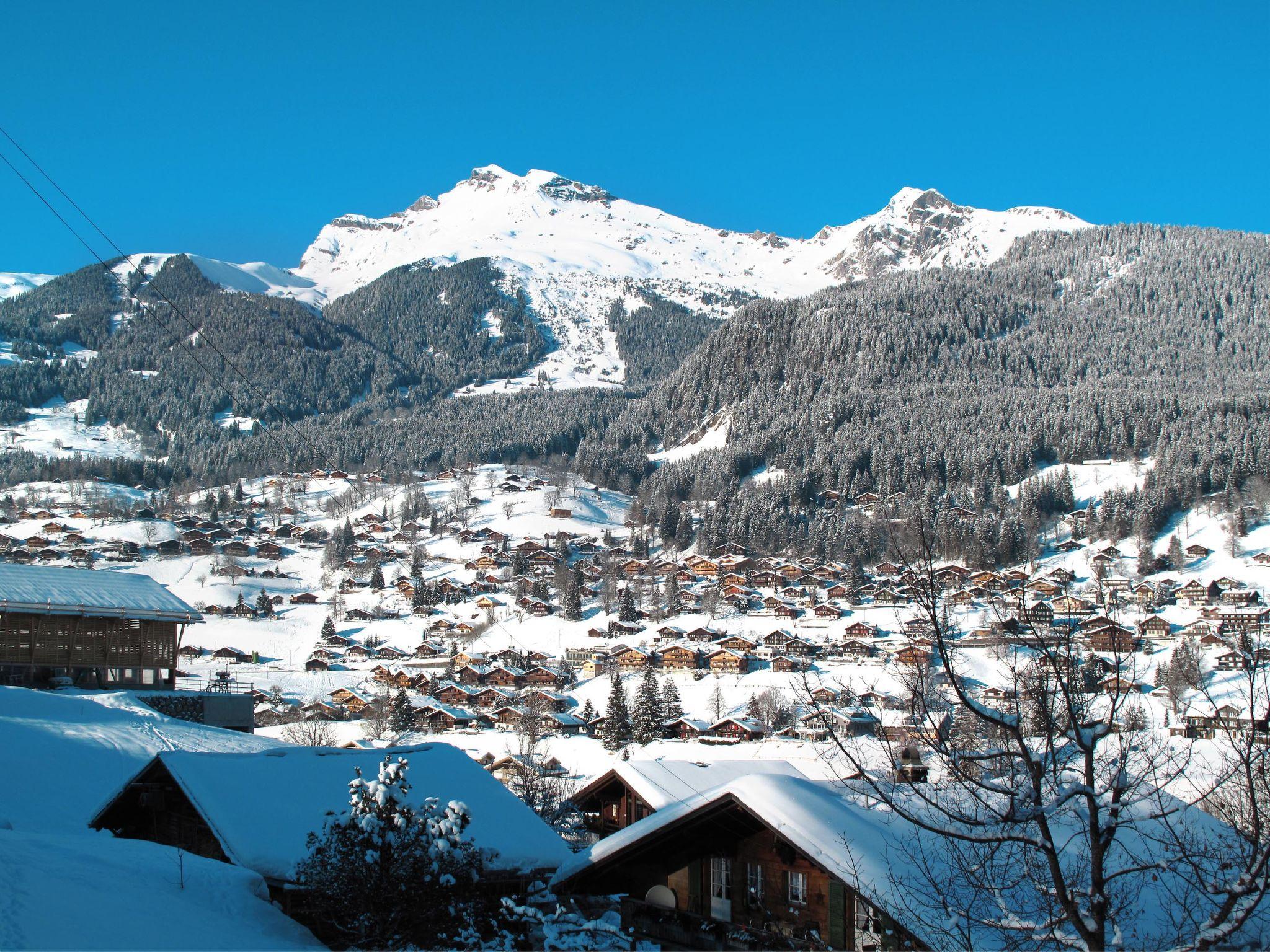 Photo 22 - Appartement de 1 chambre à Grindelwald avec jardin et terrasse