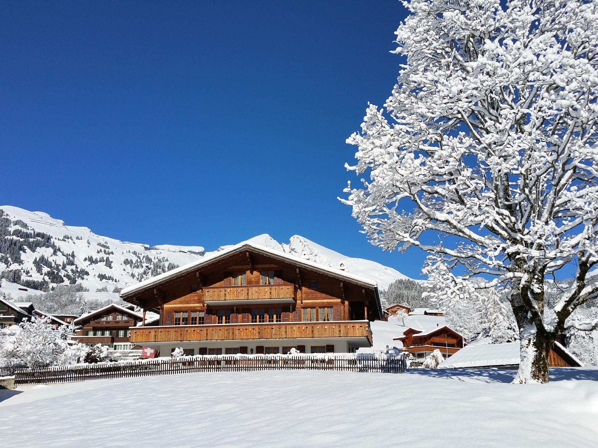 Foto 11 - Appartamento con 1 camera da letto a Grindelwald con vista sulle montagne