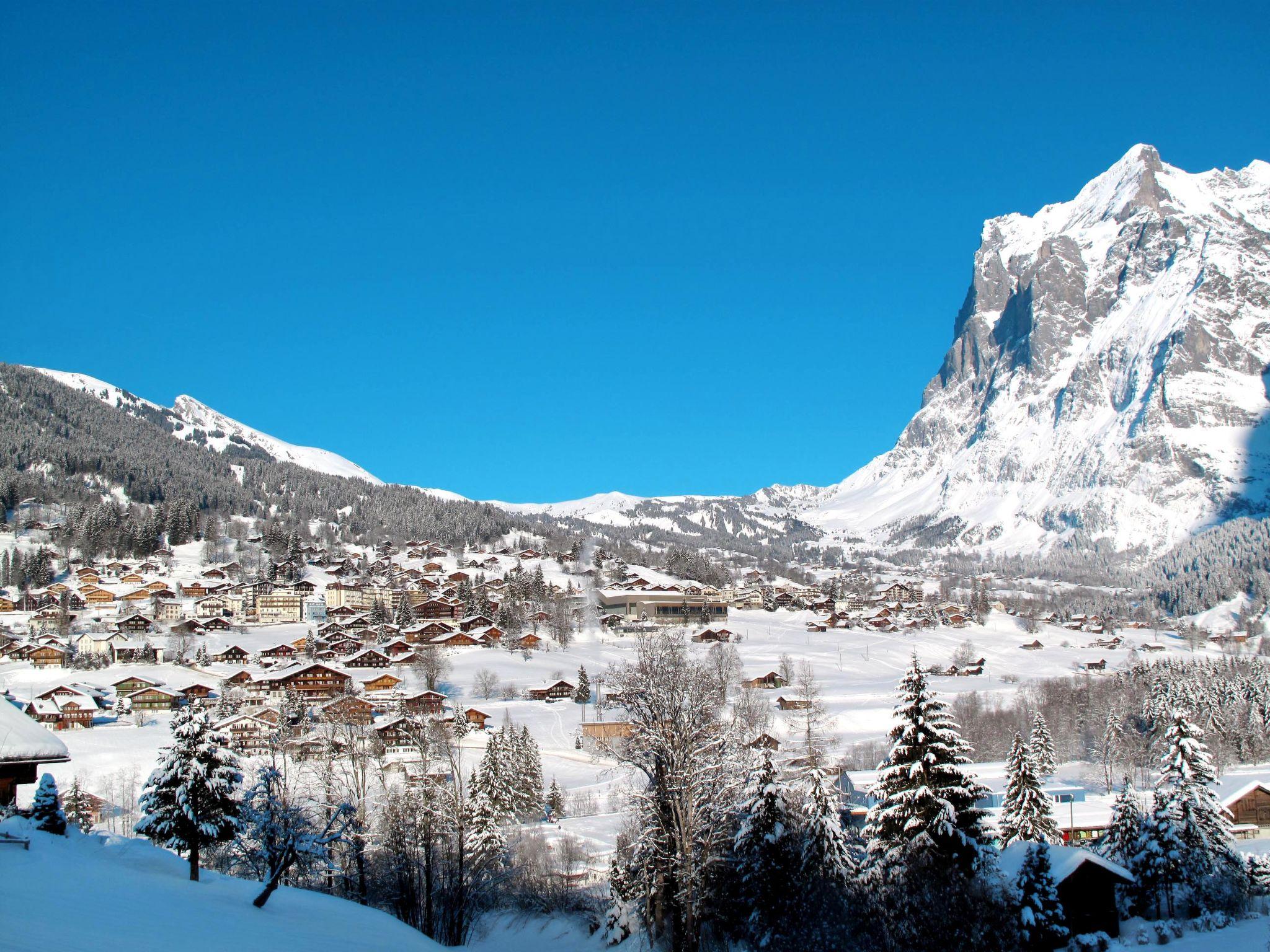 Photo 23 - Apartment in Grindelwald with garden