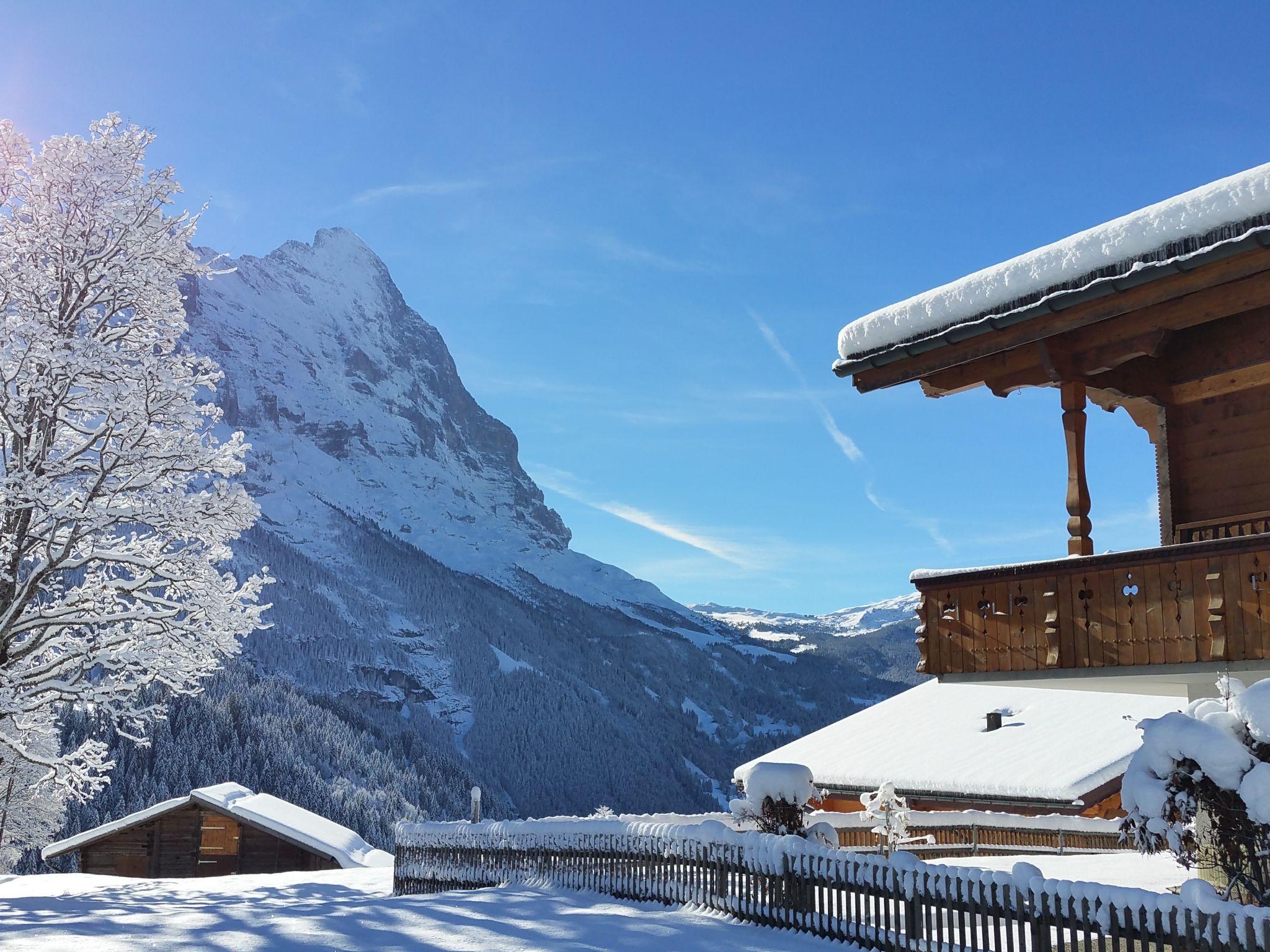 Photo 8 - Appartement en Grindelwald avec terrasse et vues sur la montagne