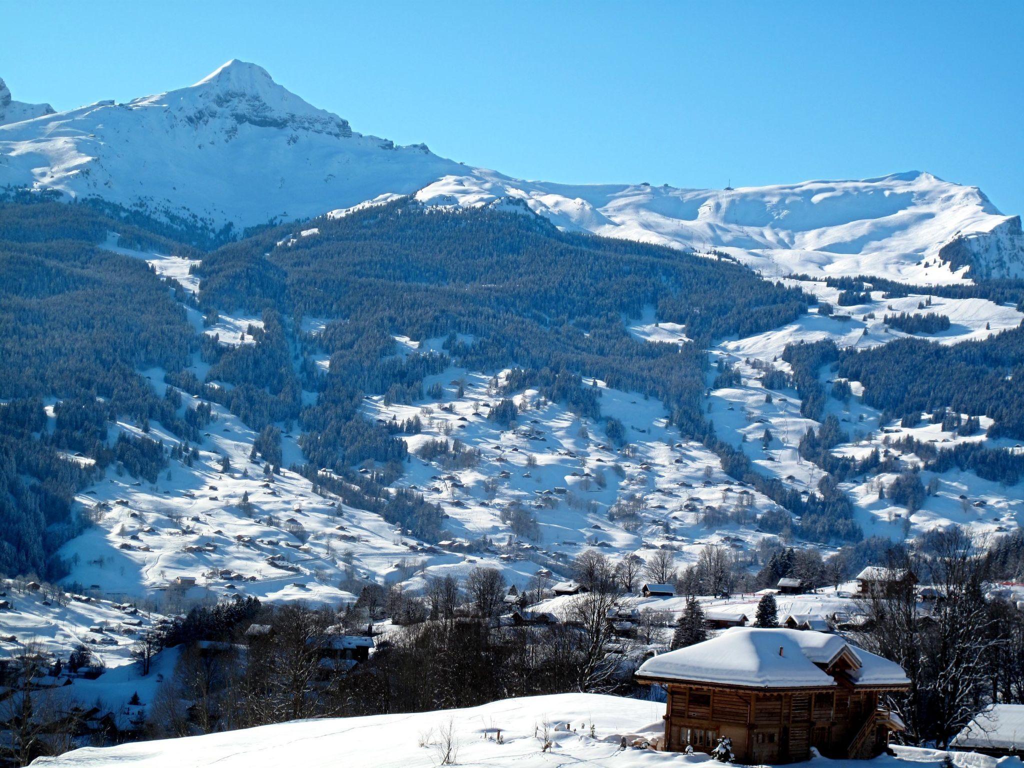 Photo 25 - 3 bedroom Apartment in Grindelwald