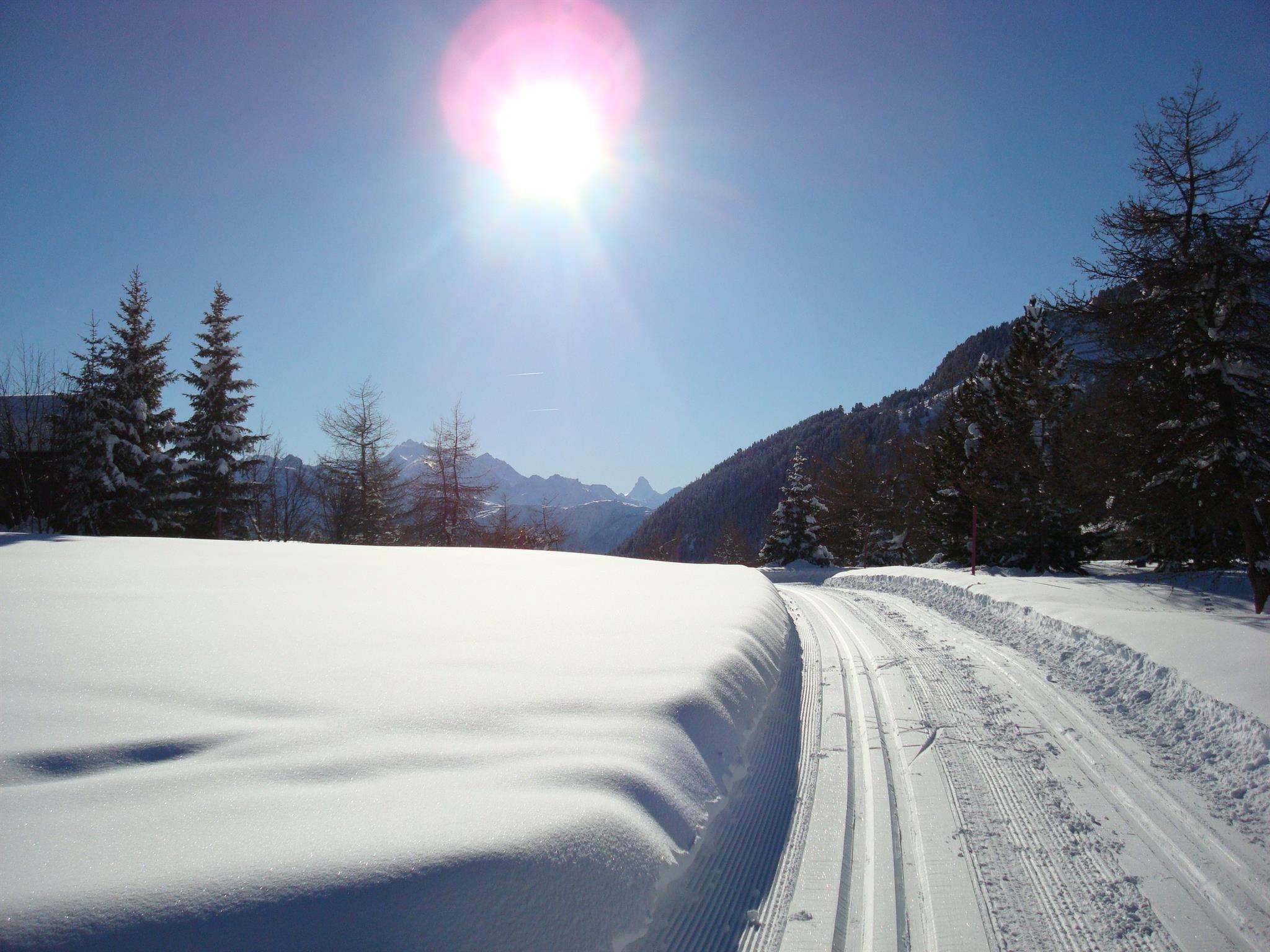 Foto 4 - Appartamento con 3 camere da letto a Riederalp