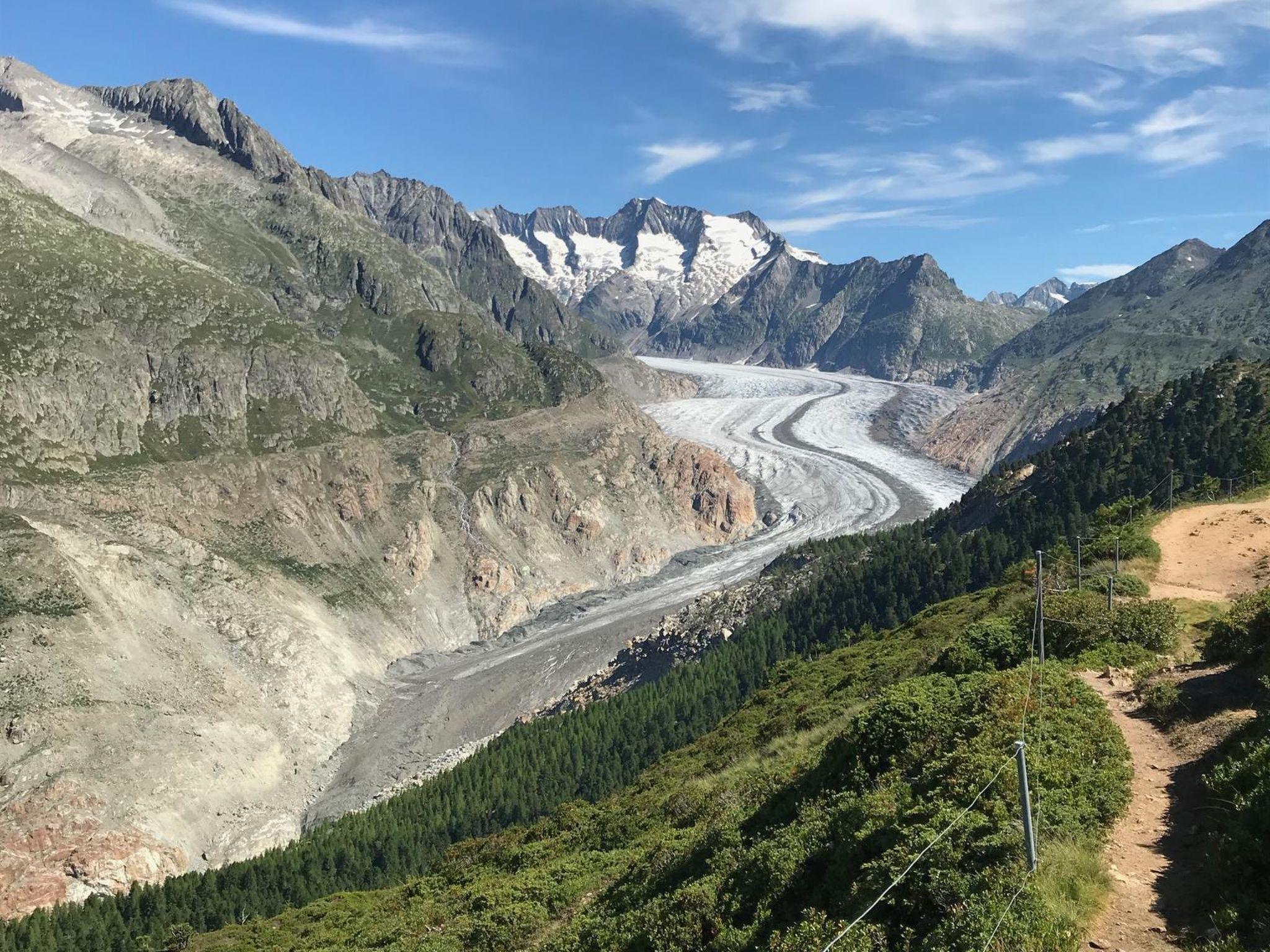 Foto 15 - Appartamento con 3 camere da letto a Riederalp