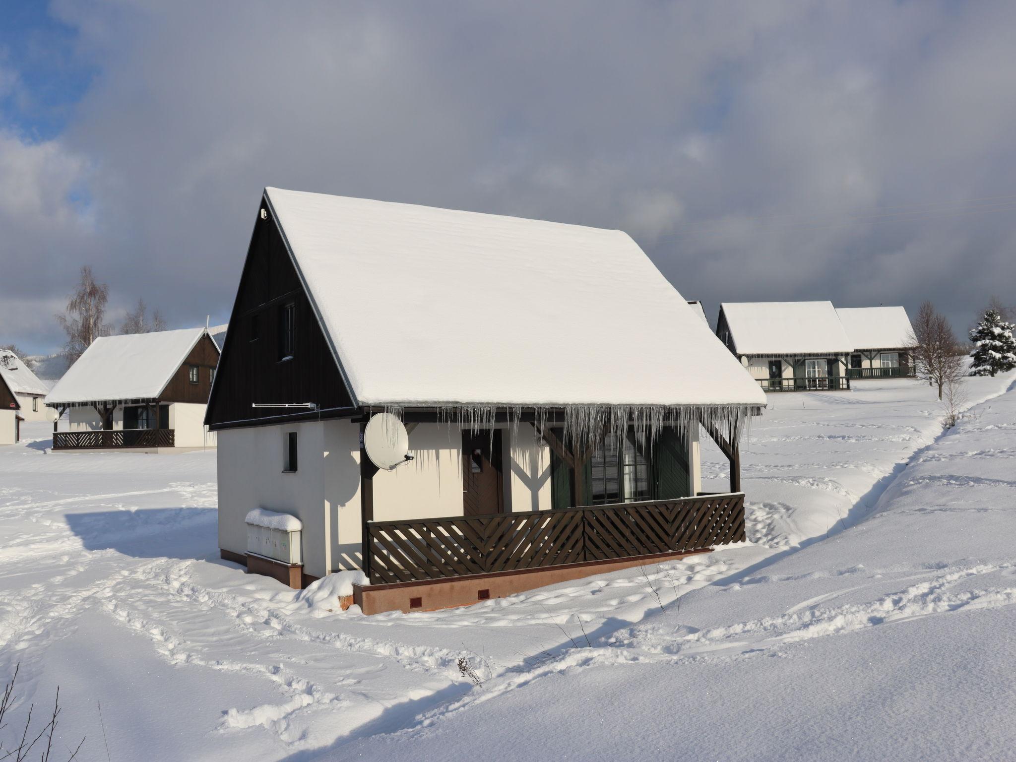 Foto 24 - Casa con 3 camere da letto a Černý Důl con piscina e giardino