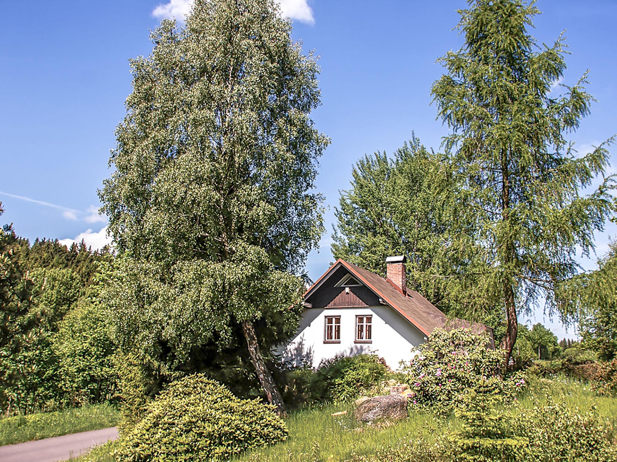 Foto 13 - Casa con 1 camera da letto a Lučany nad Nisou