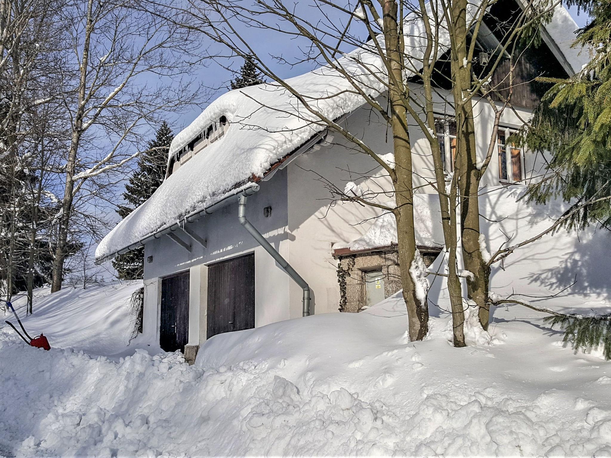 Foto 18 - Haus mit 1 Schlafzimmer in Lučany nad Nisou