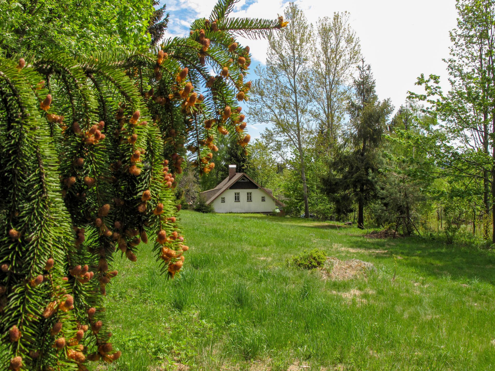 Foto 5 - Haus mit 1 Schlafzimmer in Lučany nad Nisou mit garten