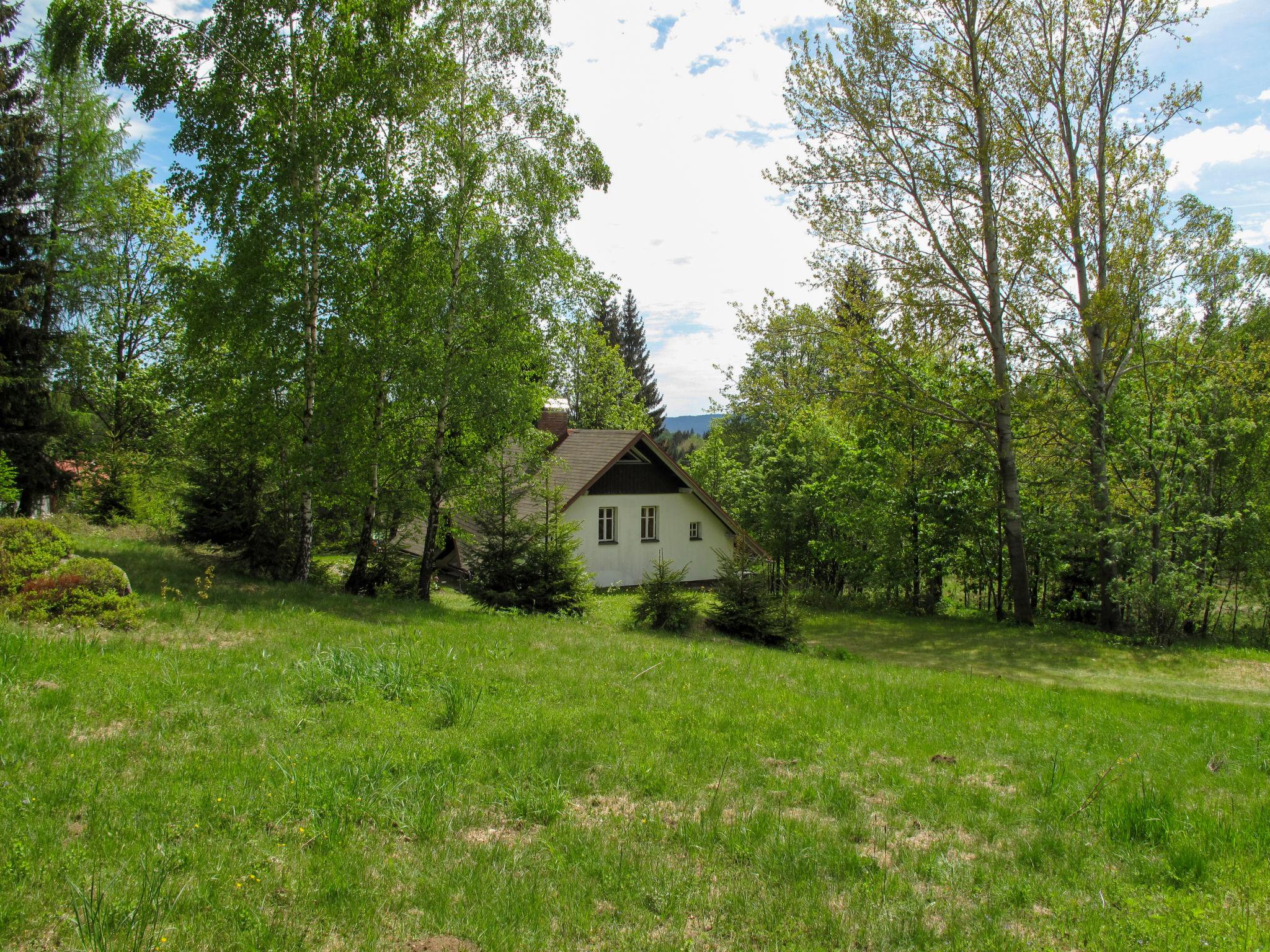 Photo 15 - Maison de 1 chambre à Lučany nad Nisou avec jardin