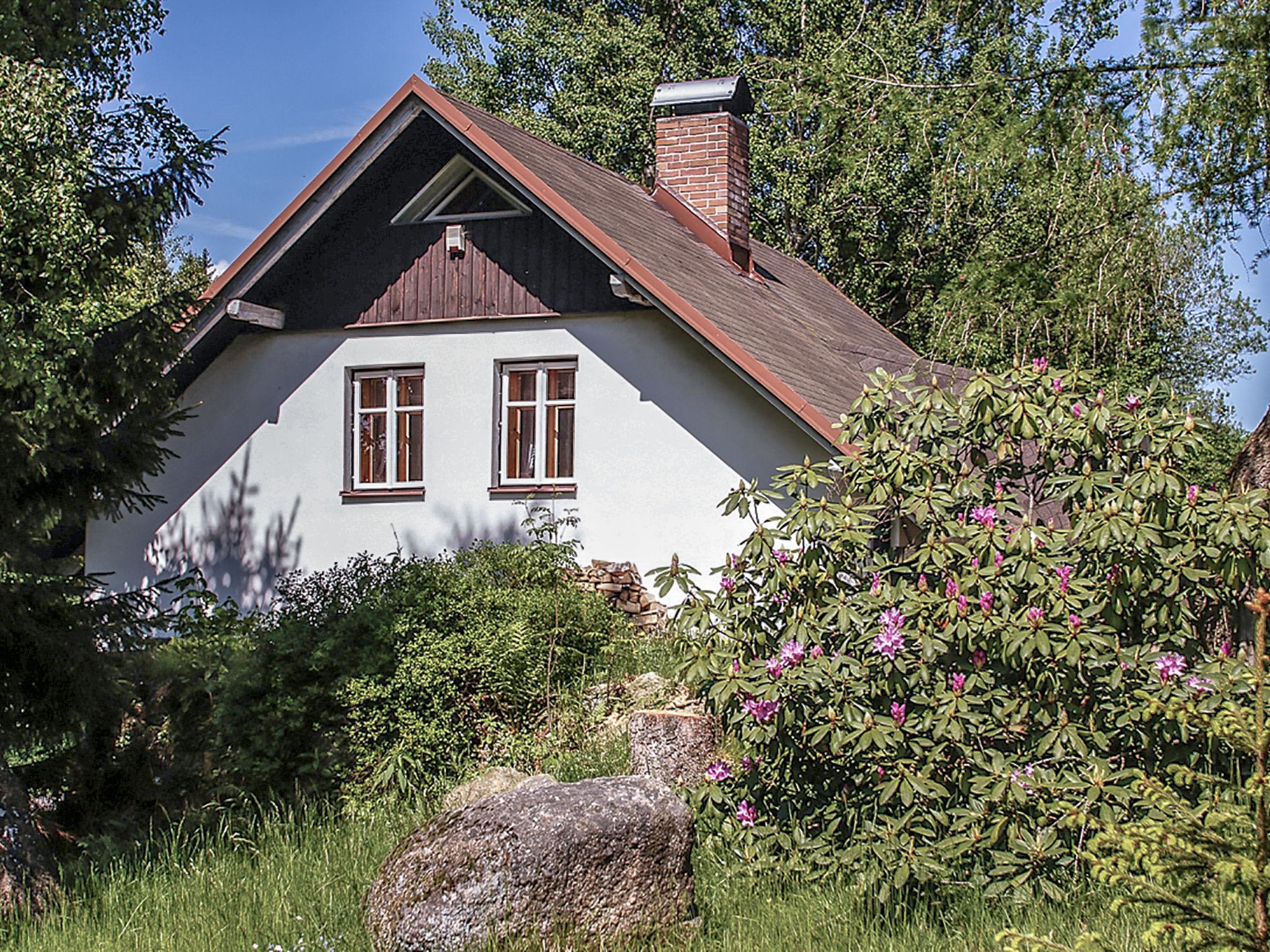 Photo 14 - Maison de 1 chambre à Lučany nad Nisou