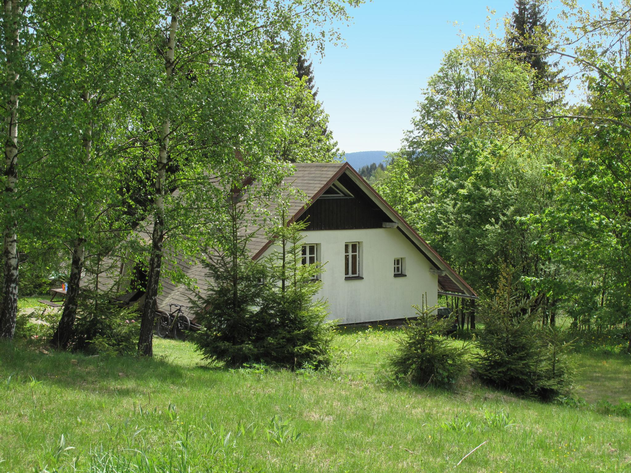 Foto 1 - Haus mit 1 Schlafzimmer in Lučany nad Nisou mit garten