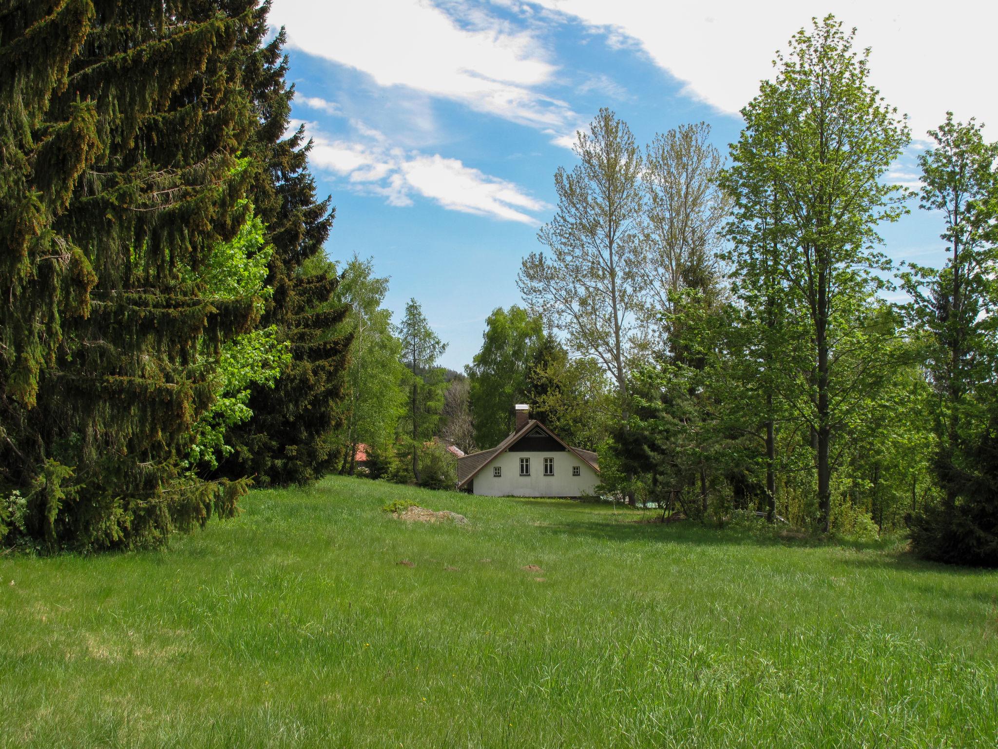 Photo 12 - Maison de 1 chambre à Lučany nad Nisou avec jardin